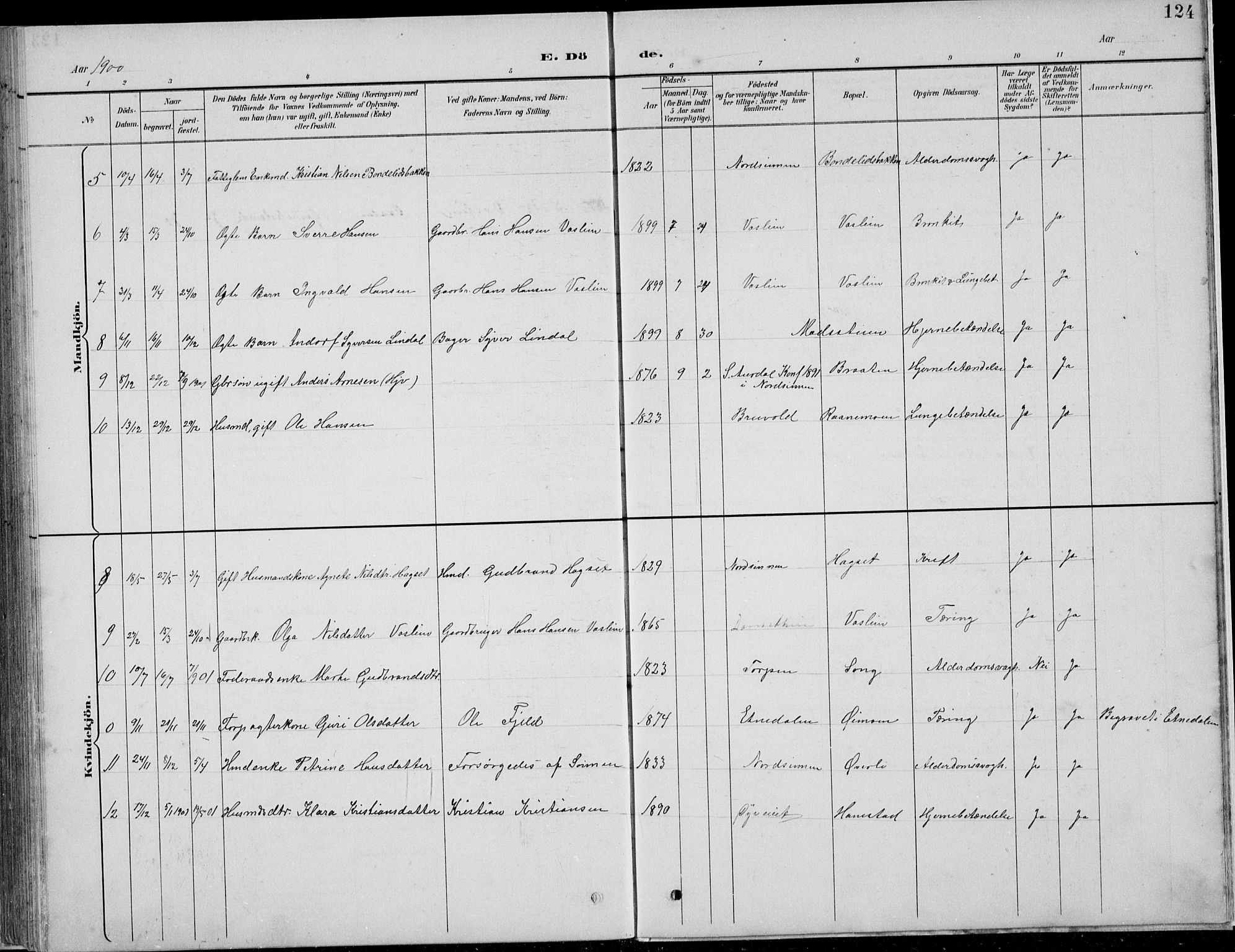 Nordre Land prestekontor, SAH/PREST-124/H/Ha/Hab/L0013: Parish register (copy) no. 13, 1891-1904, p. 124
