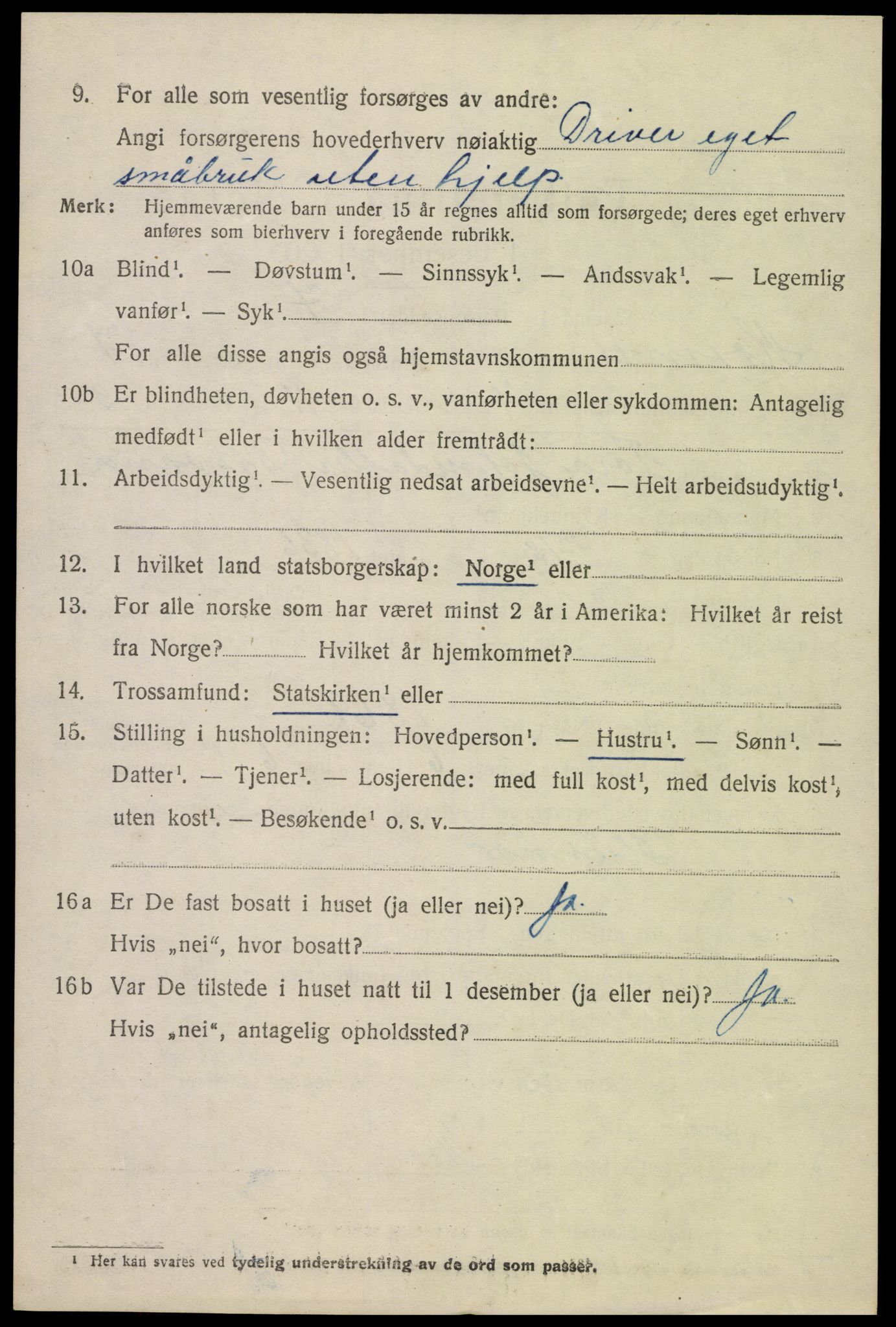 SAK, 1920 census for Hornnes, 1920, p. 1736