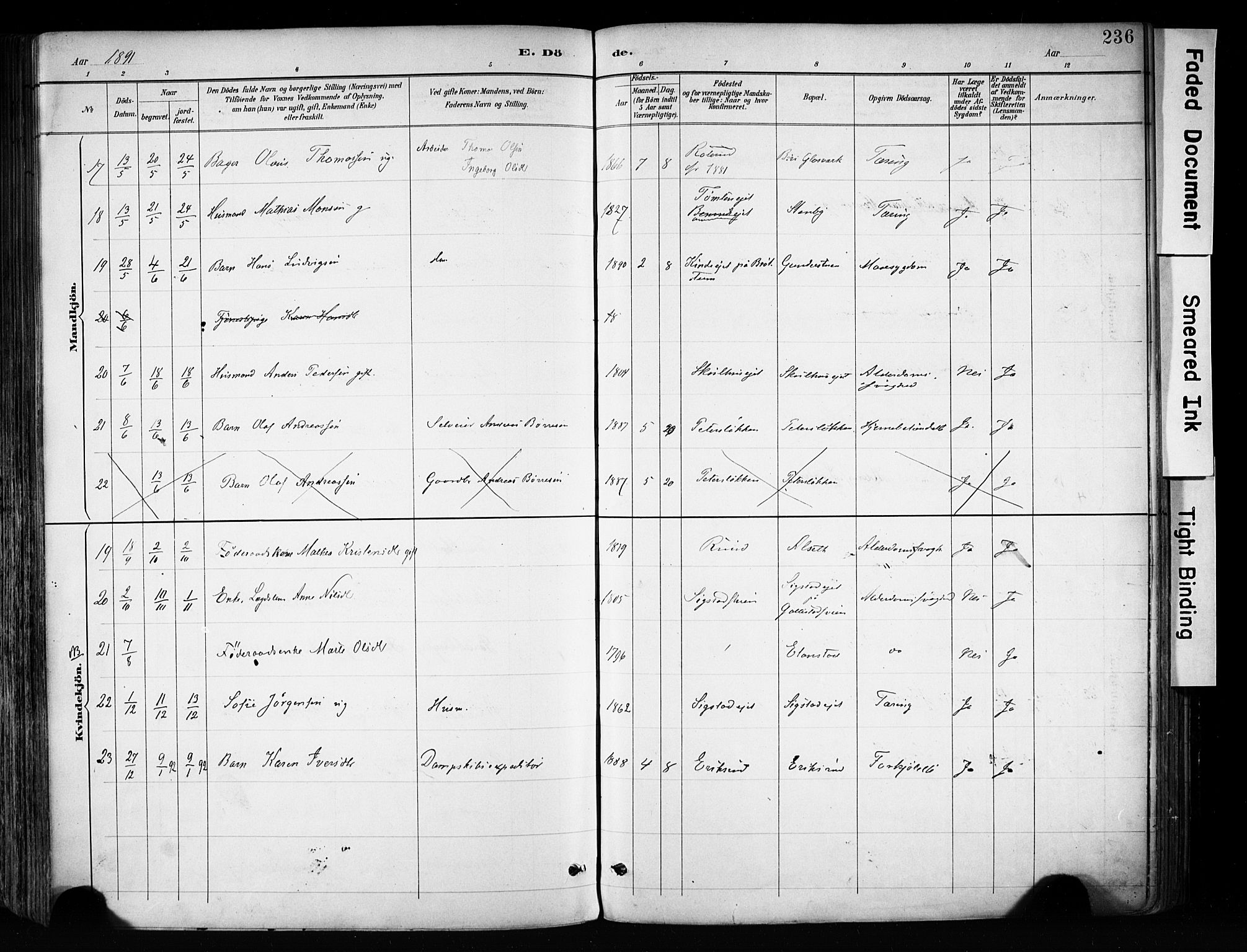 Biri prestekontor, AV/SAH-PREST-096/H/Ha/Haa/L0009: Parish register (official) no. 9, 1887-1900, p. 236