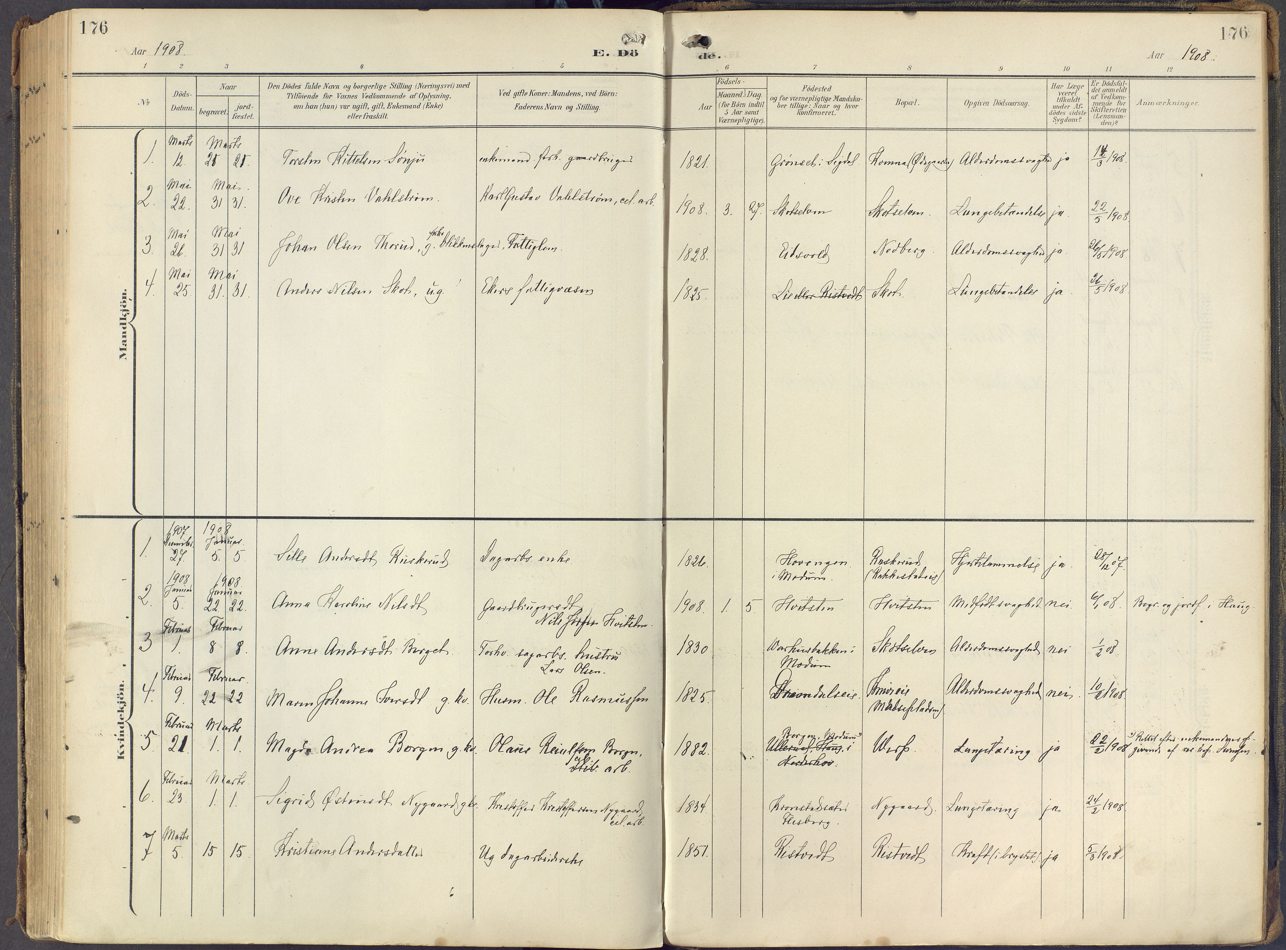 Eiker kirkebøker, SAKO/A-4/F/Fc/L0004: Parish register (official) no. III 4, 1900-1919, p. 176