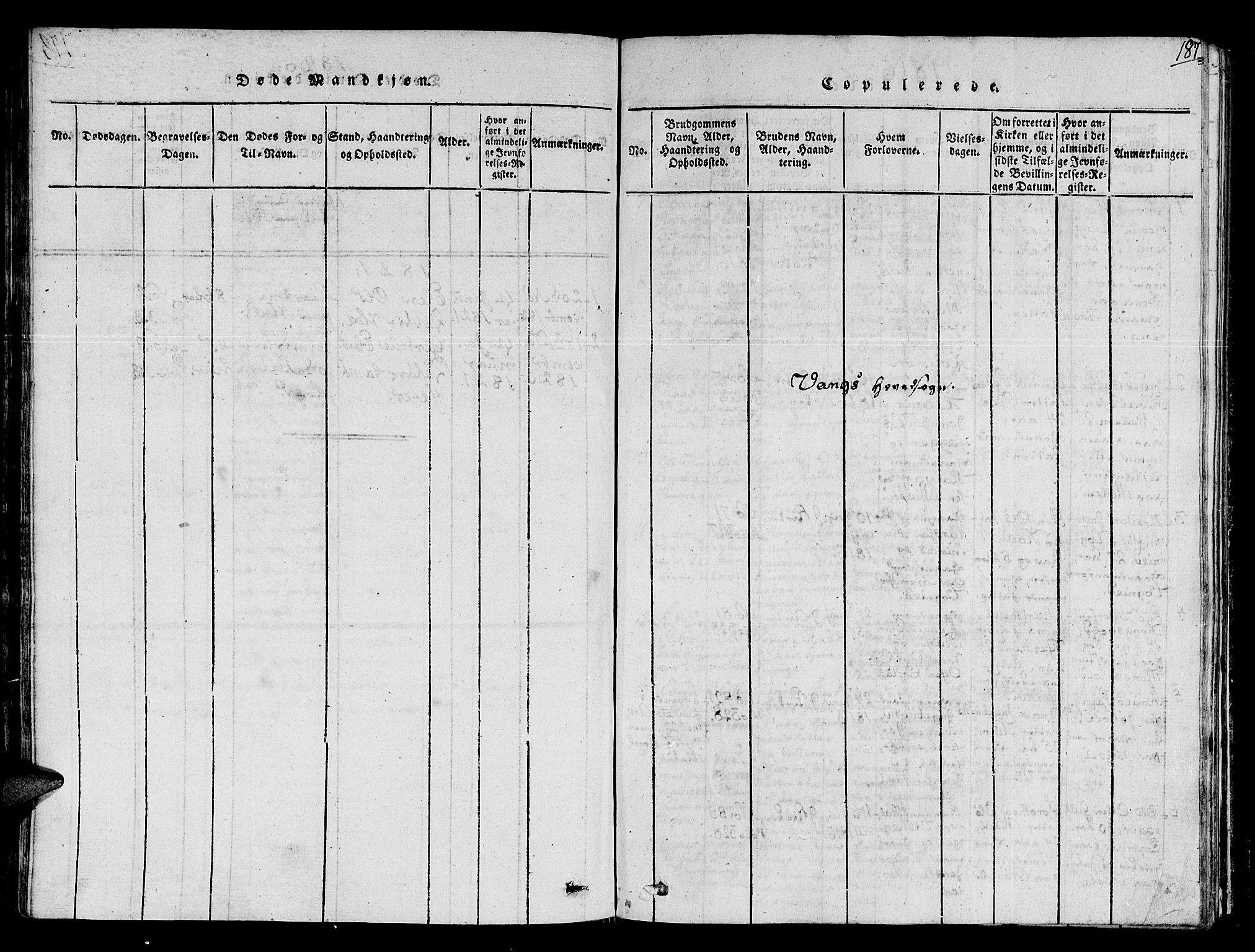 Ministerialprotokoller, klokkerbøker og fødselsregistre - Sør-Trøndelag, SAT/A-1456/678/L0895: Parish register (official) no. 678A05 /1, 1816-1821, p. 187