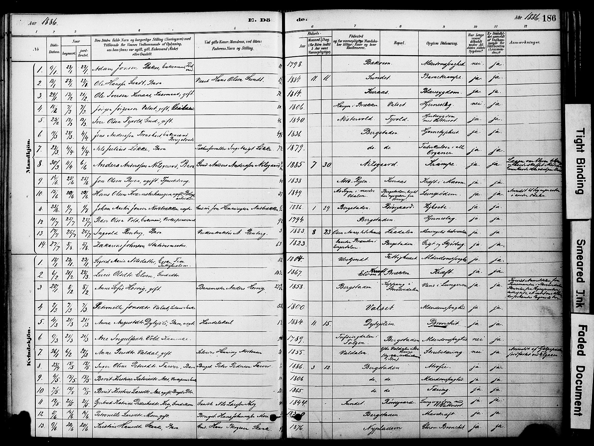 Ministerialprotokoller, klokkerbøker og fødselsregistre - Sør-Trøndelag, SAT/A-1456/681/L0933: Parish register (official) no. 681A11, 1879-1890, p. 186