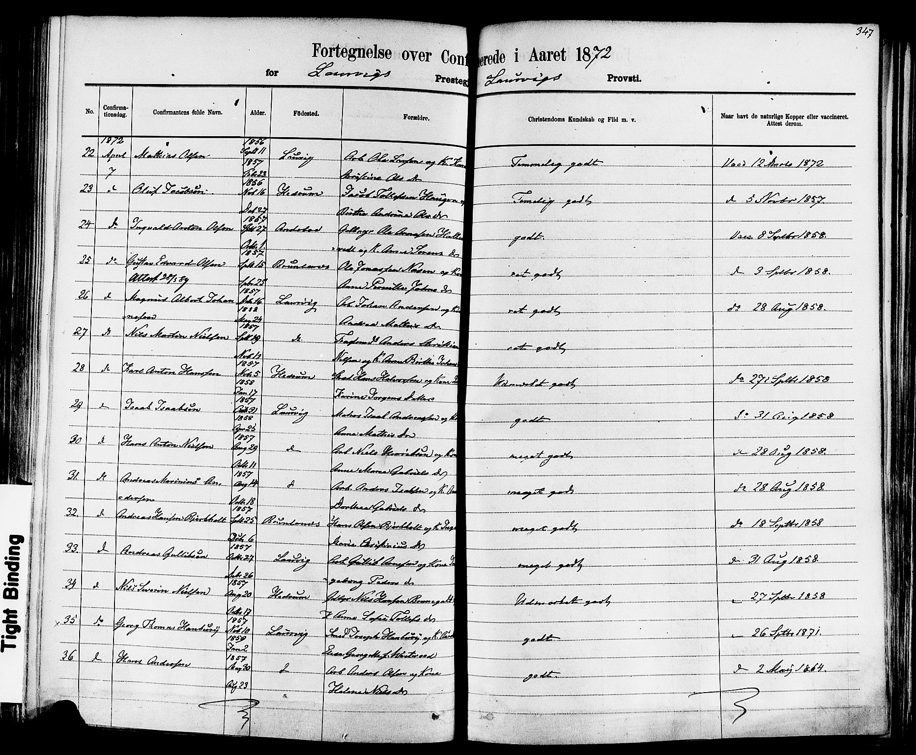 Larvik kirkebøker, SAKO/A-352/F/Fa/L0006: Parish register (official) no. I 6, 1871-1883, p. 347