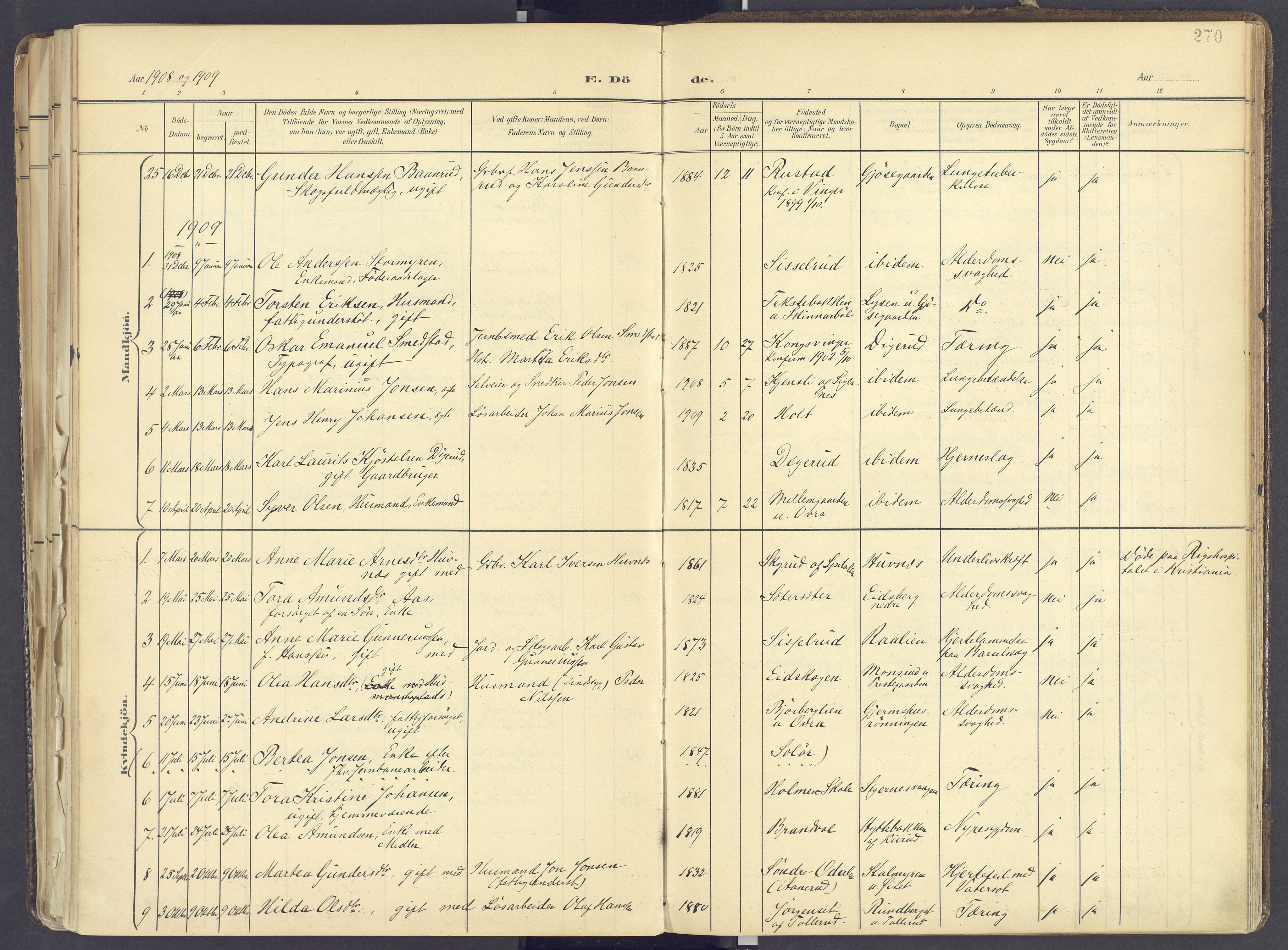 Vinger prestekontor, SAH/PREST-024/H/Ha/Haa/L0017: Parish register (official) no. 17, 1901-1927, p. 270