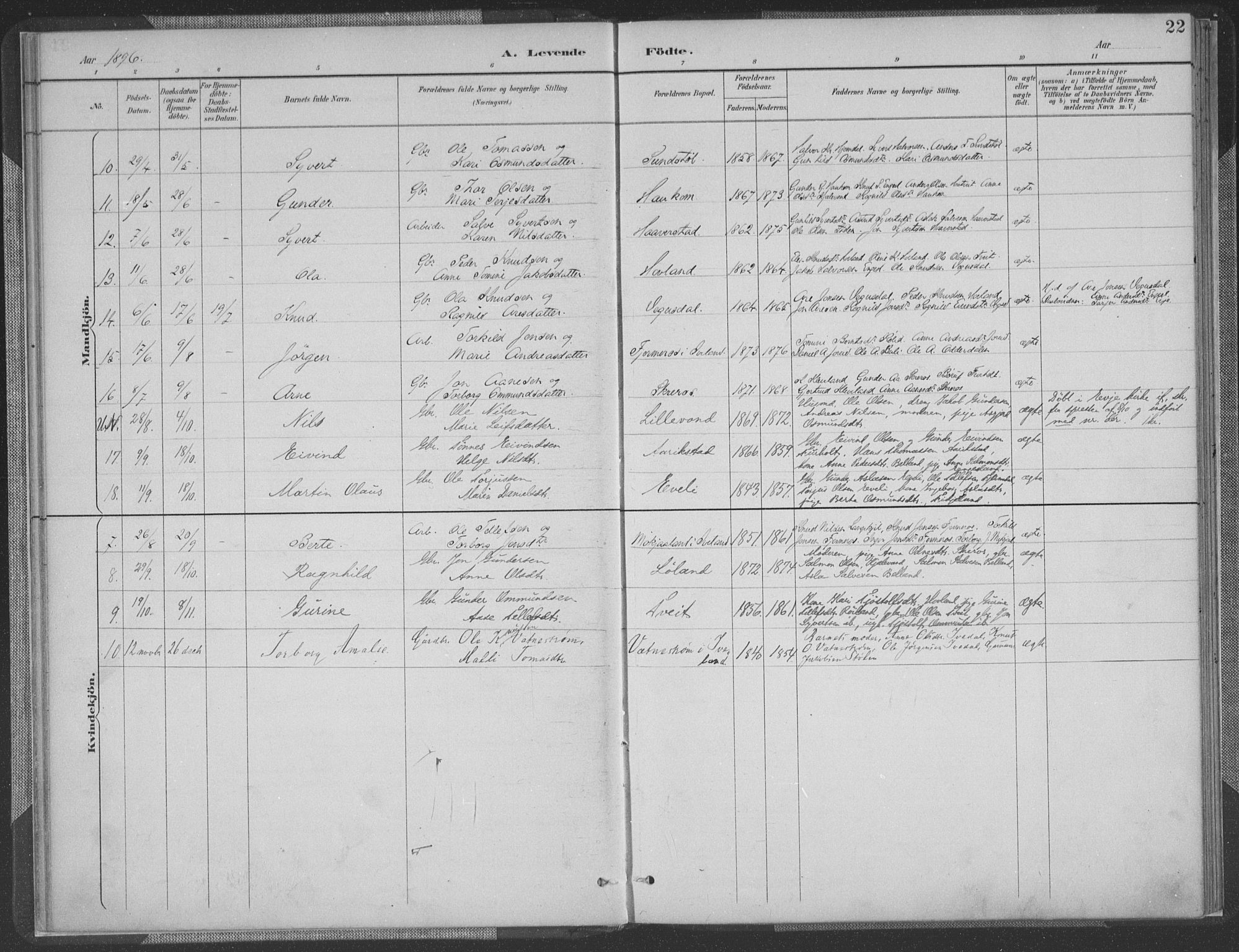 Herefoss sokneprestkontor, AV/SAK-1111-0019/F/Fa/Fab/L0004: Parish register (official) no. A 4, 1887-1909, p. 22