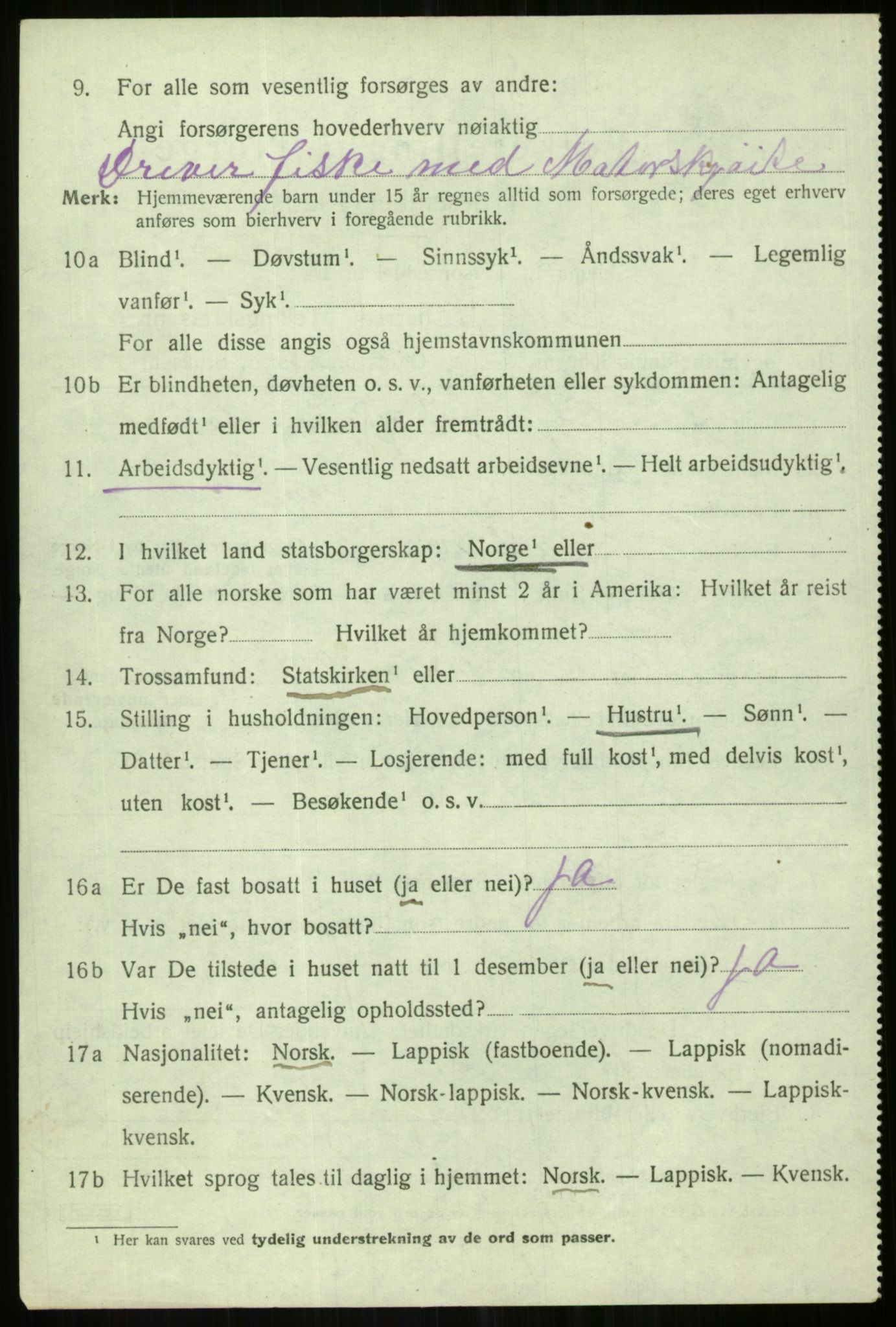 SATØ, 1920 census for Karlsøy, 1920, p. 4029