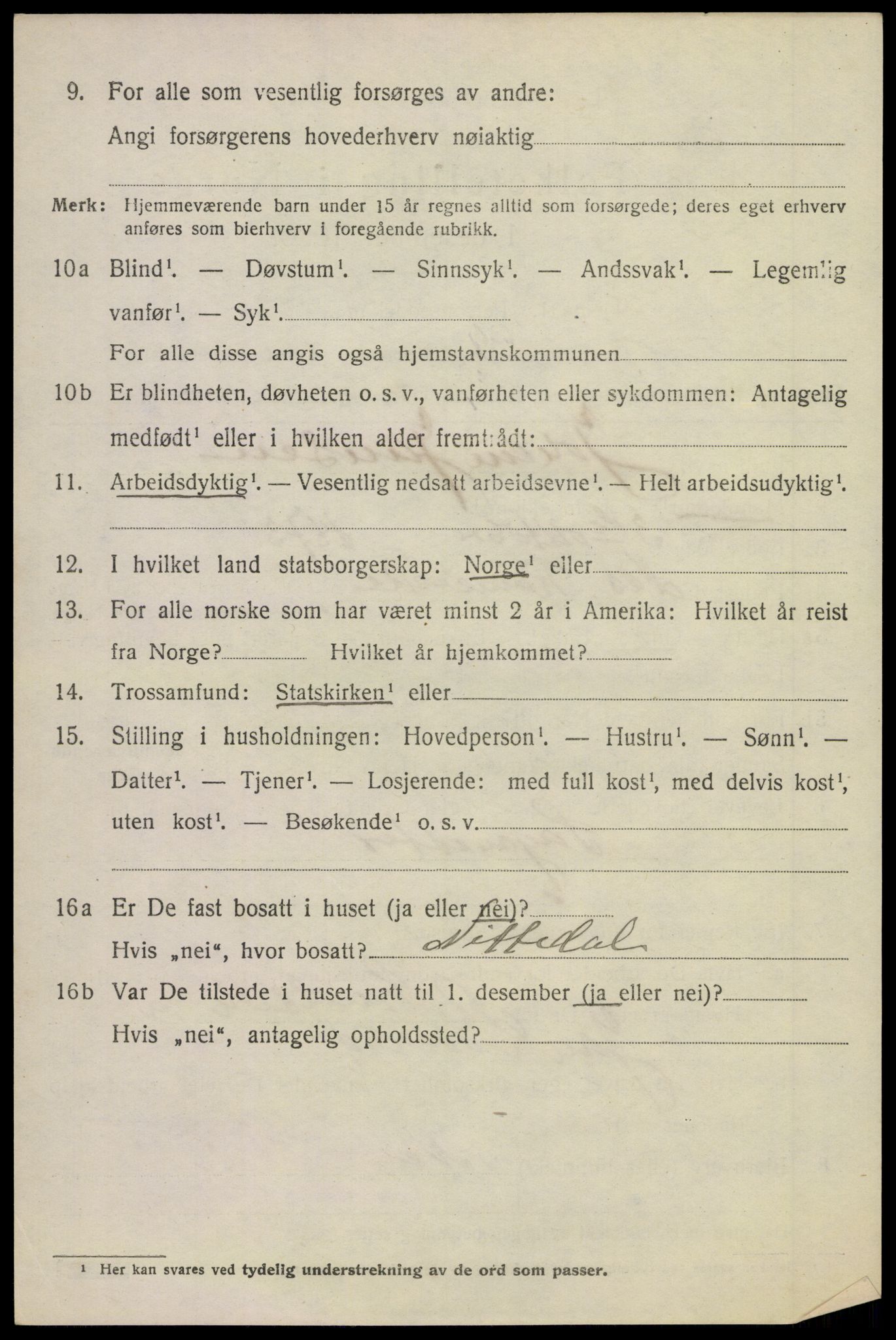 SAKO, 1920 census for Hof, 1920, p. 4866