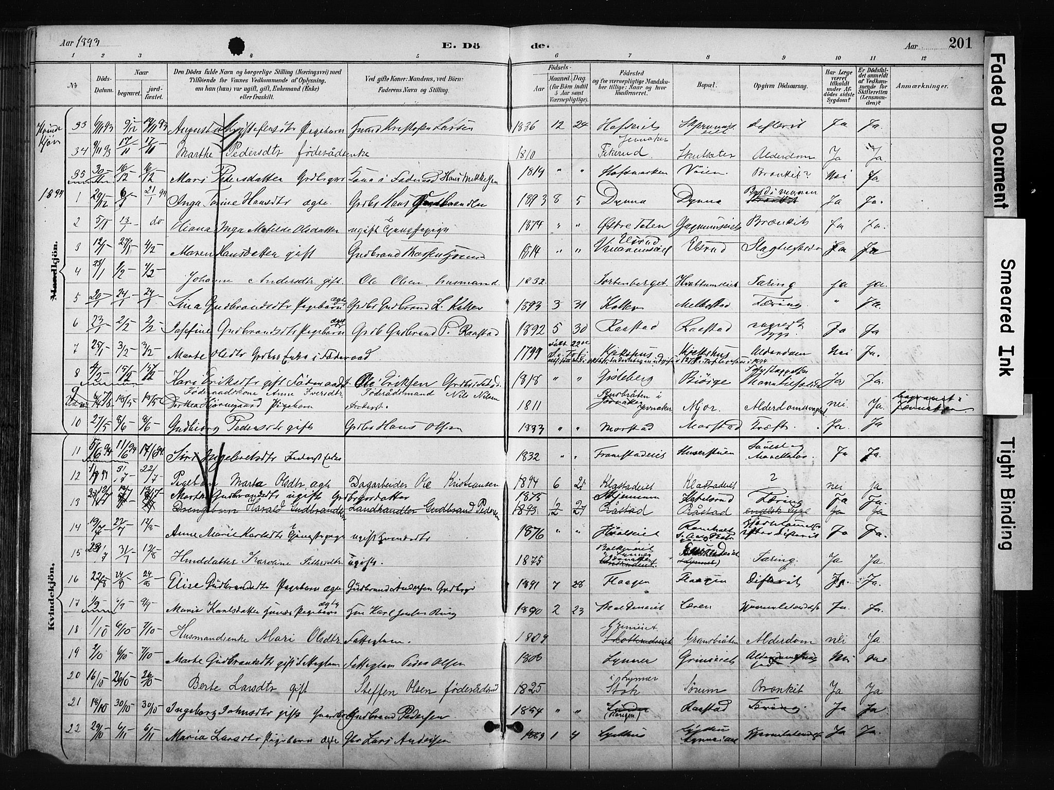 Gran prestekontor, AV/SAH-PREST-112/H/Ha/Haa/L0017: Parish register (official) no. 17, 1889-1897, p. 201