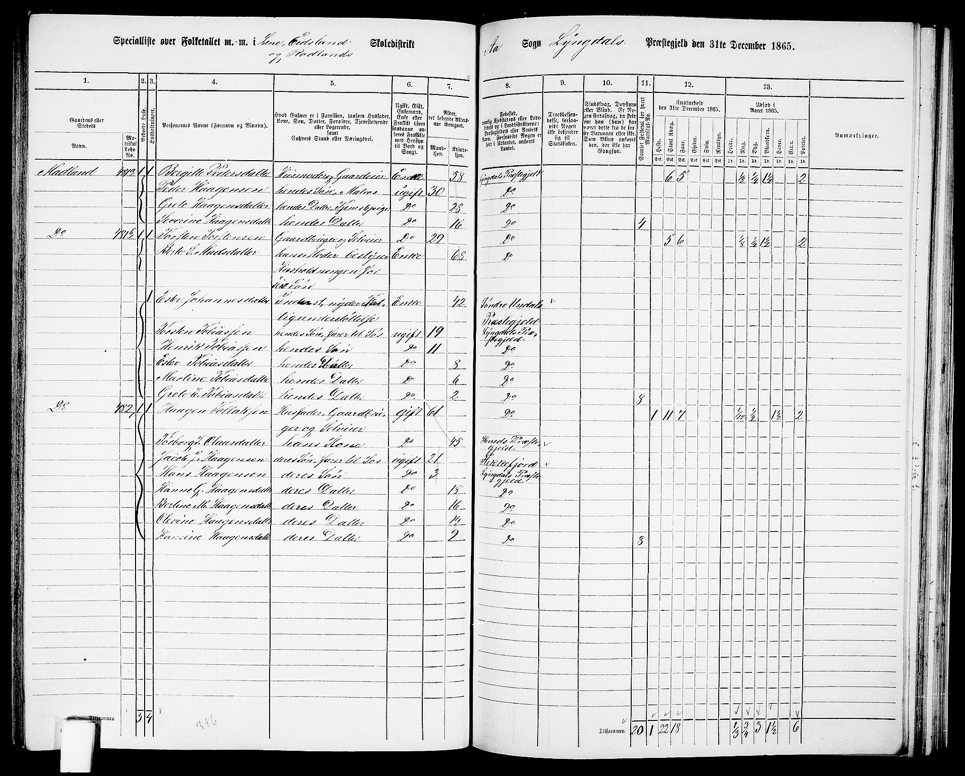 RA, 1865 census for Lyngdal, 1865, p. 194