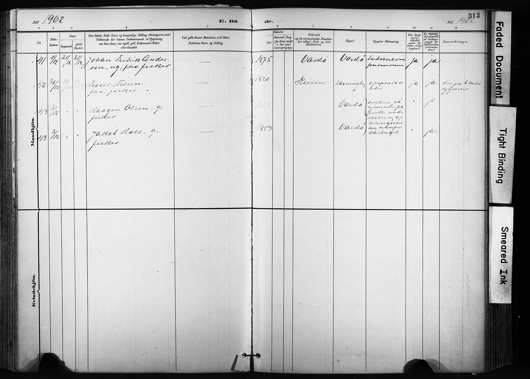 Vardø sokneprestkontor, SATØ/S-1332/H/Ha/L0010kirke: Parish register (official) no. 10, 1895-1907, p. 313