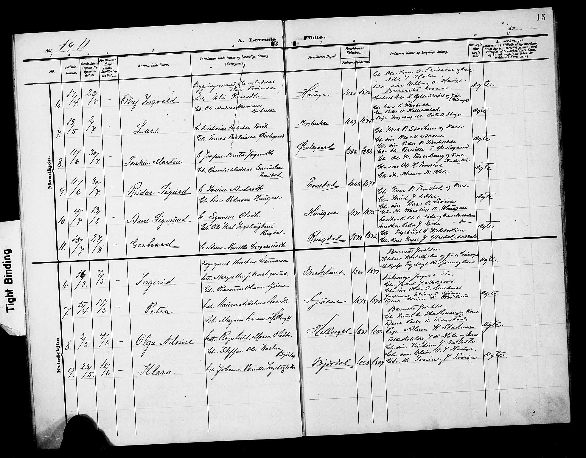 Ministerialprotokoller, klokkerbøker og fødselsregistre - Møre og Romsdal, AV/SAT-A-1454/517/L0231: Parish register (copy) no. 517C04, 1904-1918, p. 15