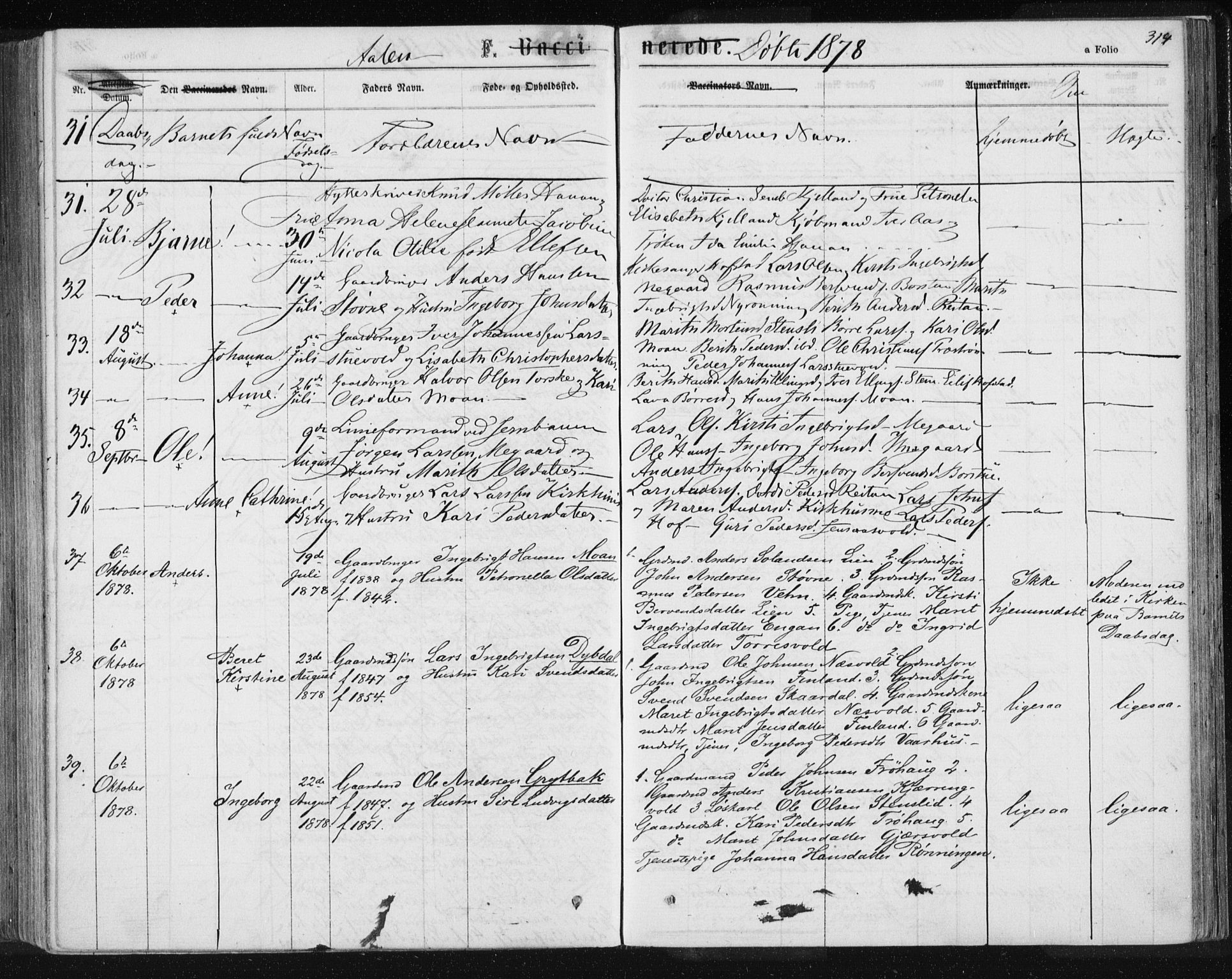 Ministerialprotokoller, klokkerbøker og fødselsregistre - Sør-Trøndelag, AV/SAT-A-1456/685/L0971: Parish register (official) no. 685A08 /3, 1870-1879, p. 314