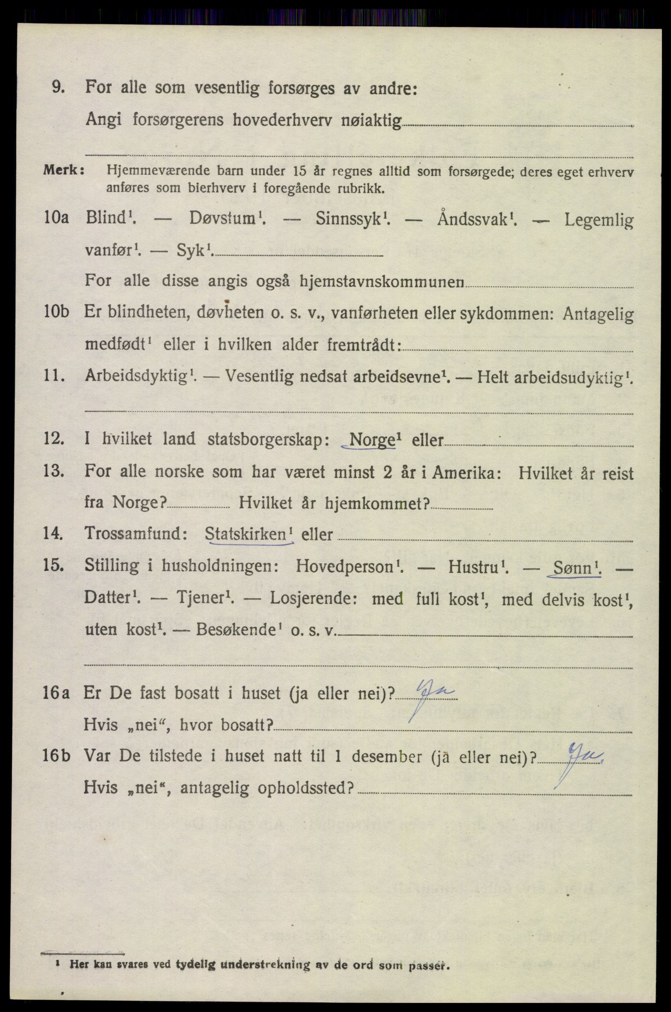 SAH, 1920 census for Åsnes, 1920, p. 11719