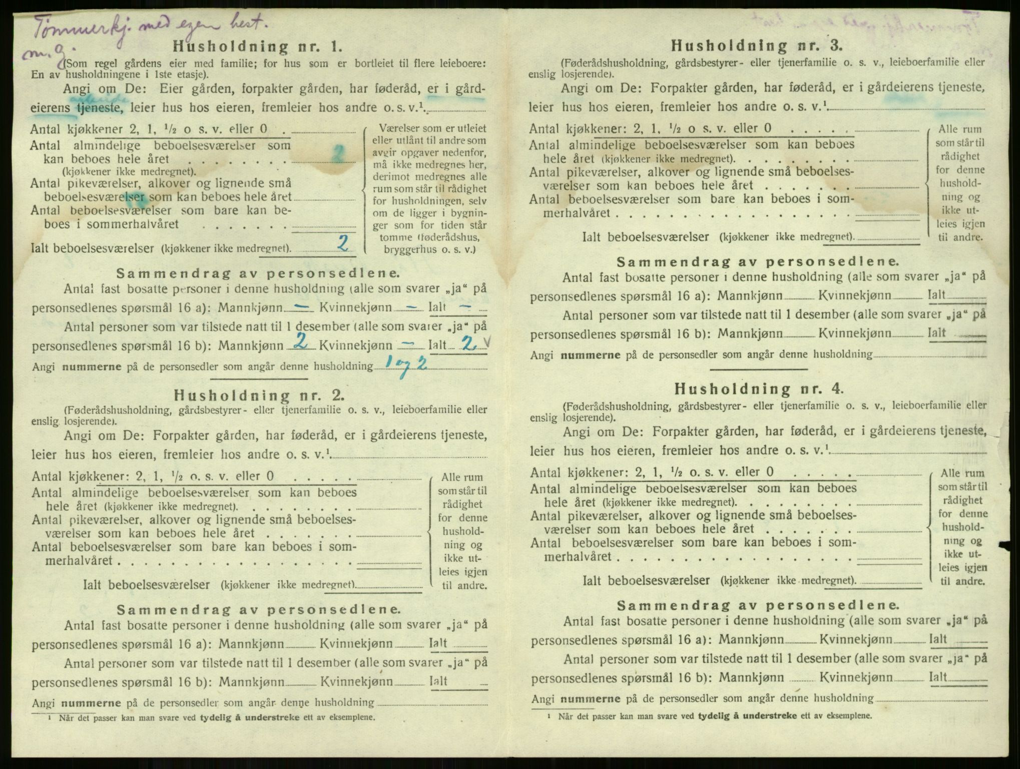 SAKO, 1920 census for Flå, 1920, p. 652