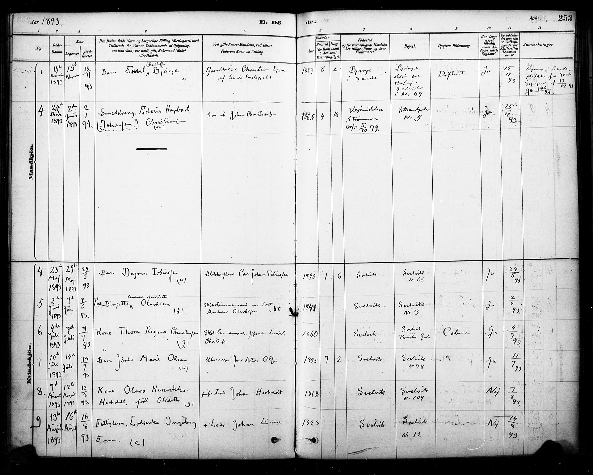 Strømm kirkebøker, SAKO/A-322/F/Fb/L0001: Parish register (official) no. II 1, 1878-1899, p. 253