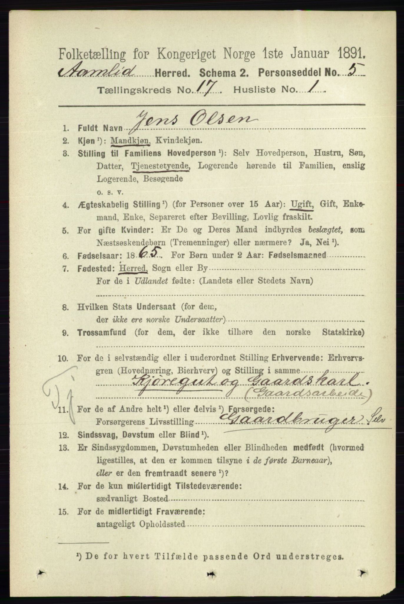 RA, 1891 census for 0929 Åmli, 1891, p. 2809