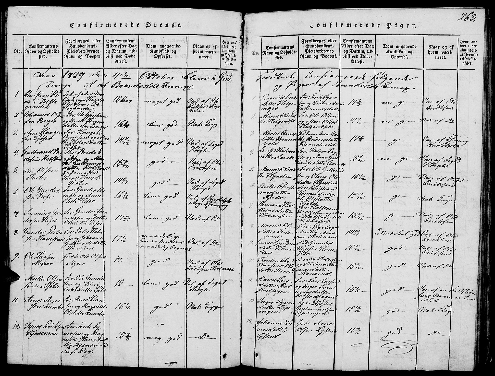 Grue prestekontor, SAH/PREST-036/H/Ha/Hab/L0002: Parish register (copy) no. 2, 1815-1841, p. 263