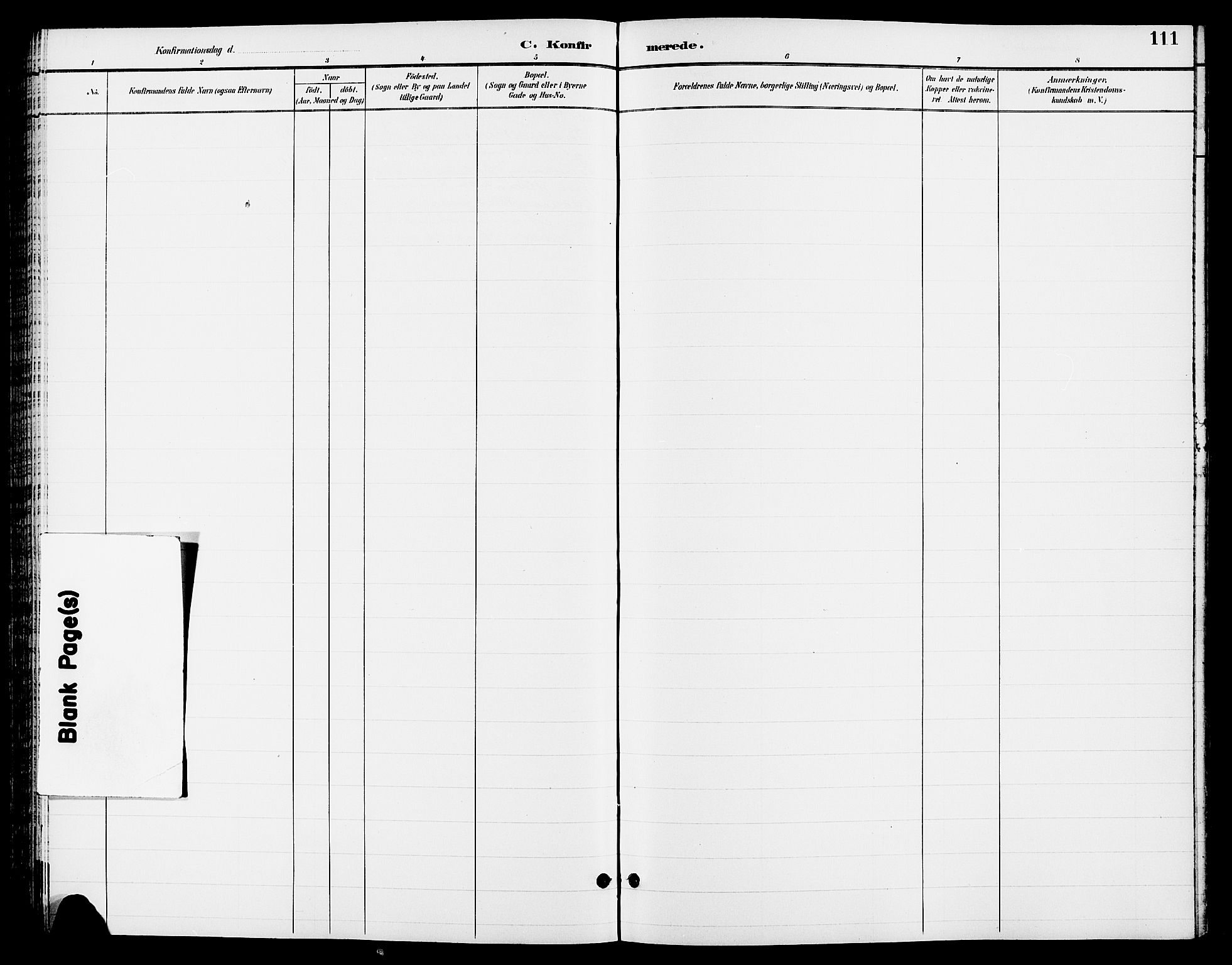 Ringsaker prestekontor, AV/SAH-PREST-014/L/La/L0013: Parish register (copy) no. 13, 1891-1904, p. 111