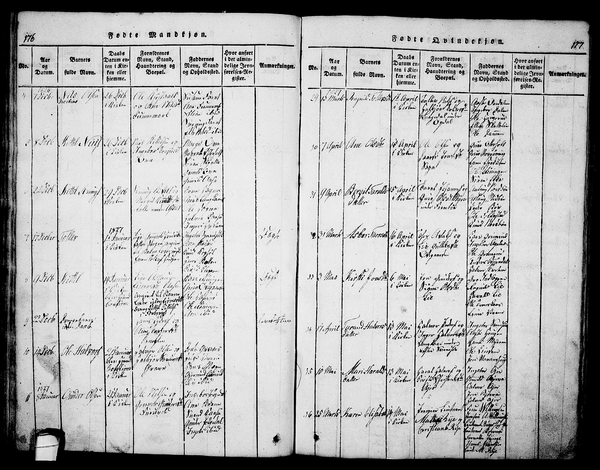 Bø kirkebøker, AV/SAKO-A-257/G/Ga/L0001: Parish register (copy) no. 1, 1815-1831, p. 176-177