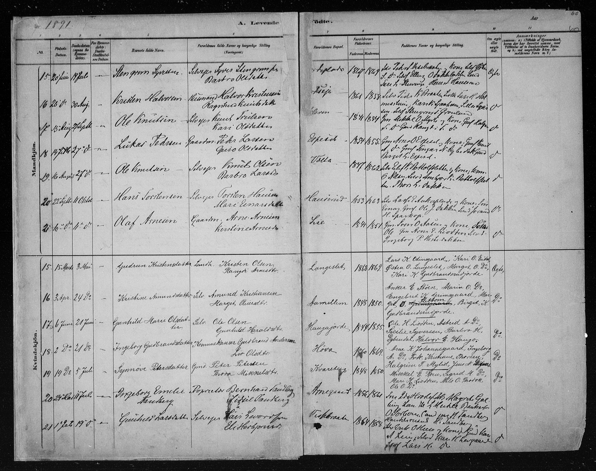 Nes kirkebøker, AV/SAKO-A-236/F/Fa/L0011: Parish register (official) no. 11, 1881-1912, p. 60