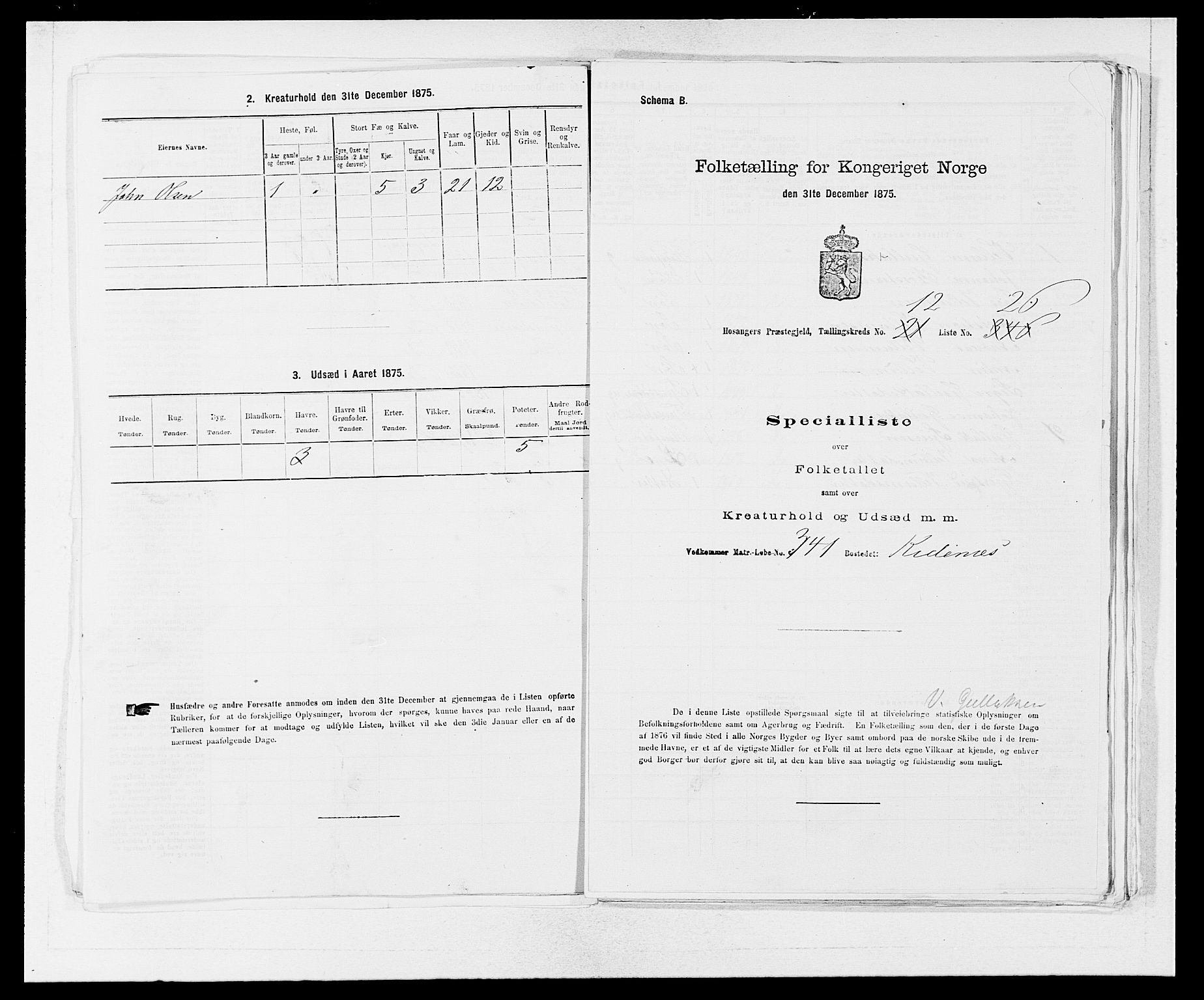 SAB, 1875 census for 1253P Hosanger, 1875, p. 855