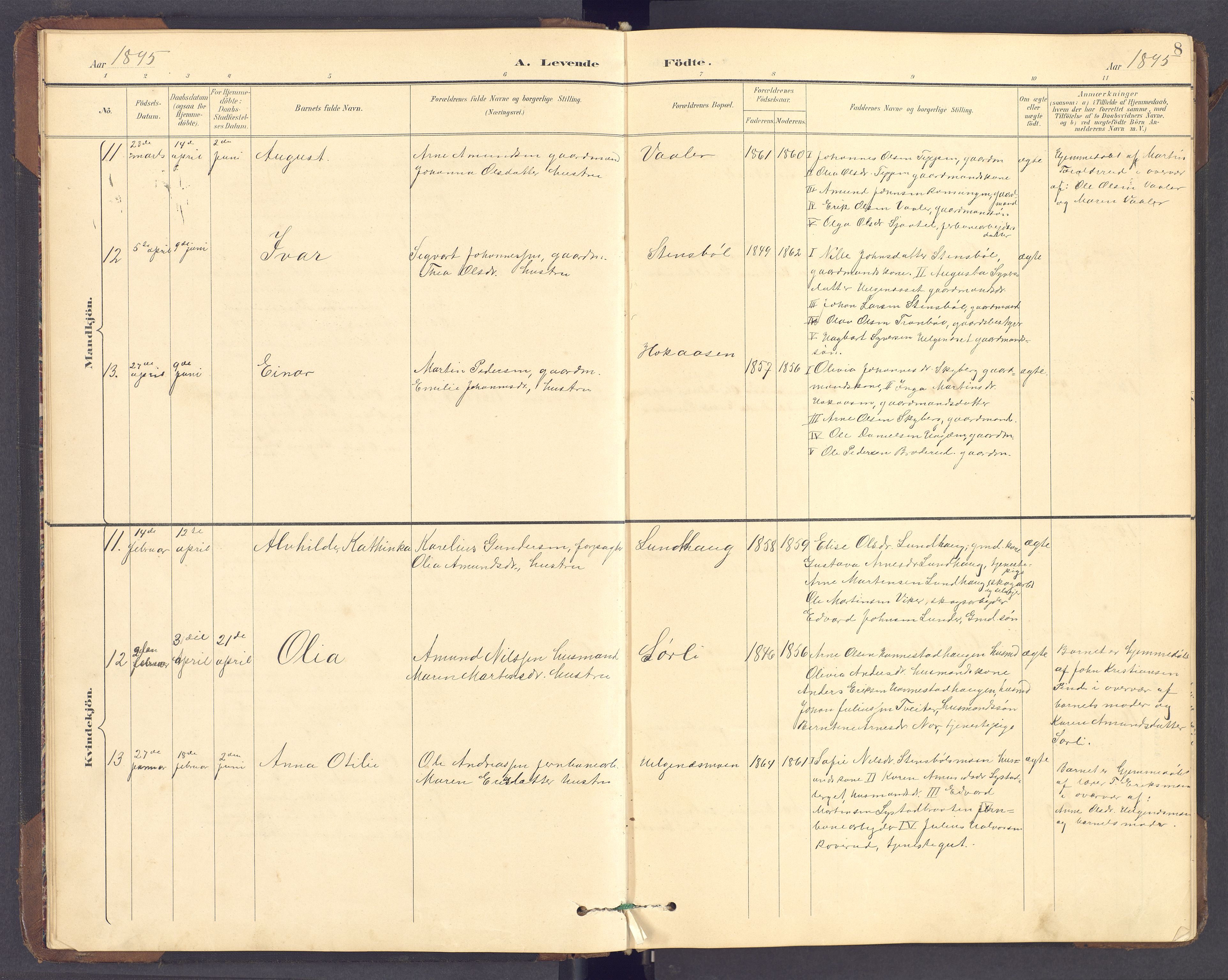 Brandval prestekontor, AV/SAH-PREST-034/H/Ha/Hab/L0002: Parish register (copy) no. 2, 1895-1904, p. 8