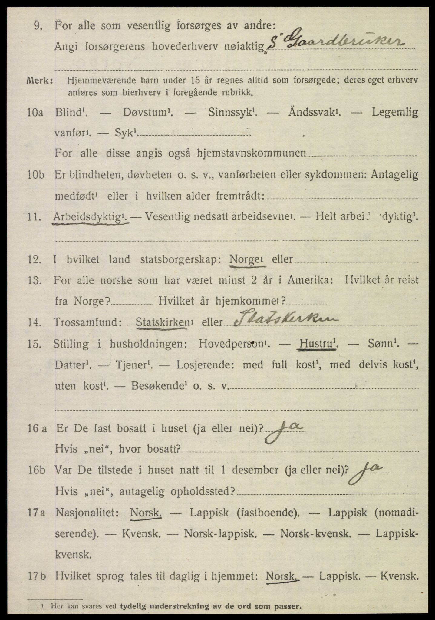 SAT, 1920 census for Hattfjelldal, 1920, p. 949