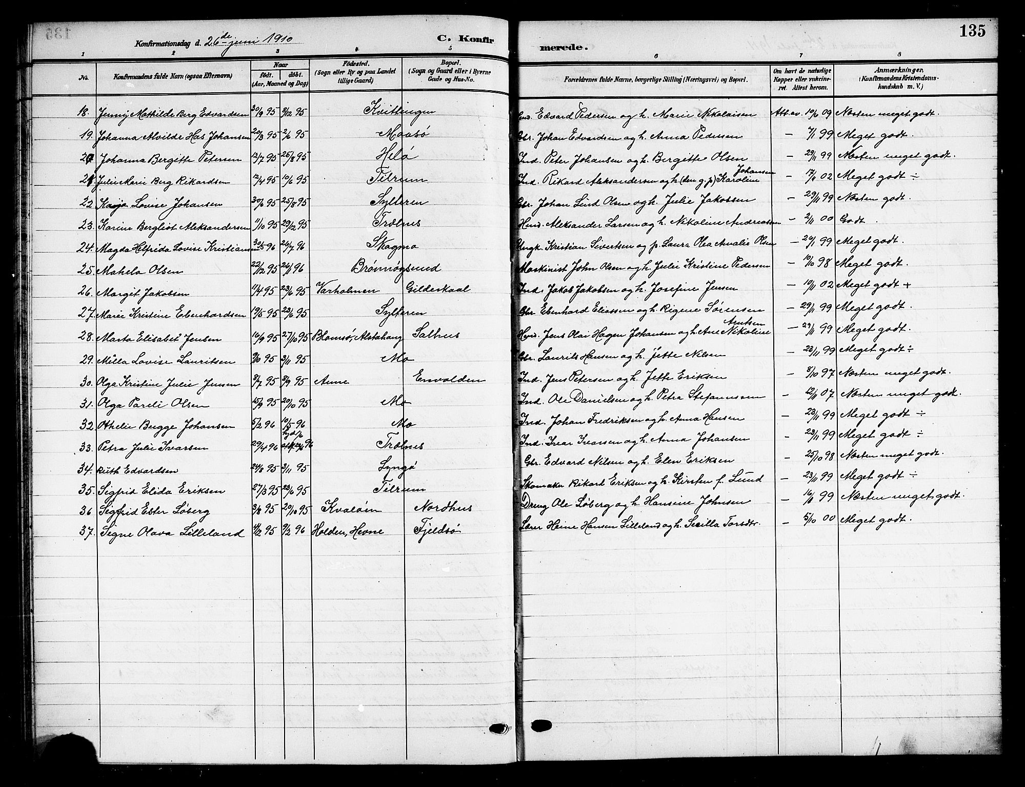 Ministerialprotokoller, klokkerbøker og fødselsregistre - Nordland, SAT/A-1459/813/L0214: Parish register (copy) no. 813C06, 1904-1917, p. 135