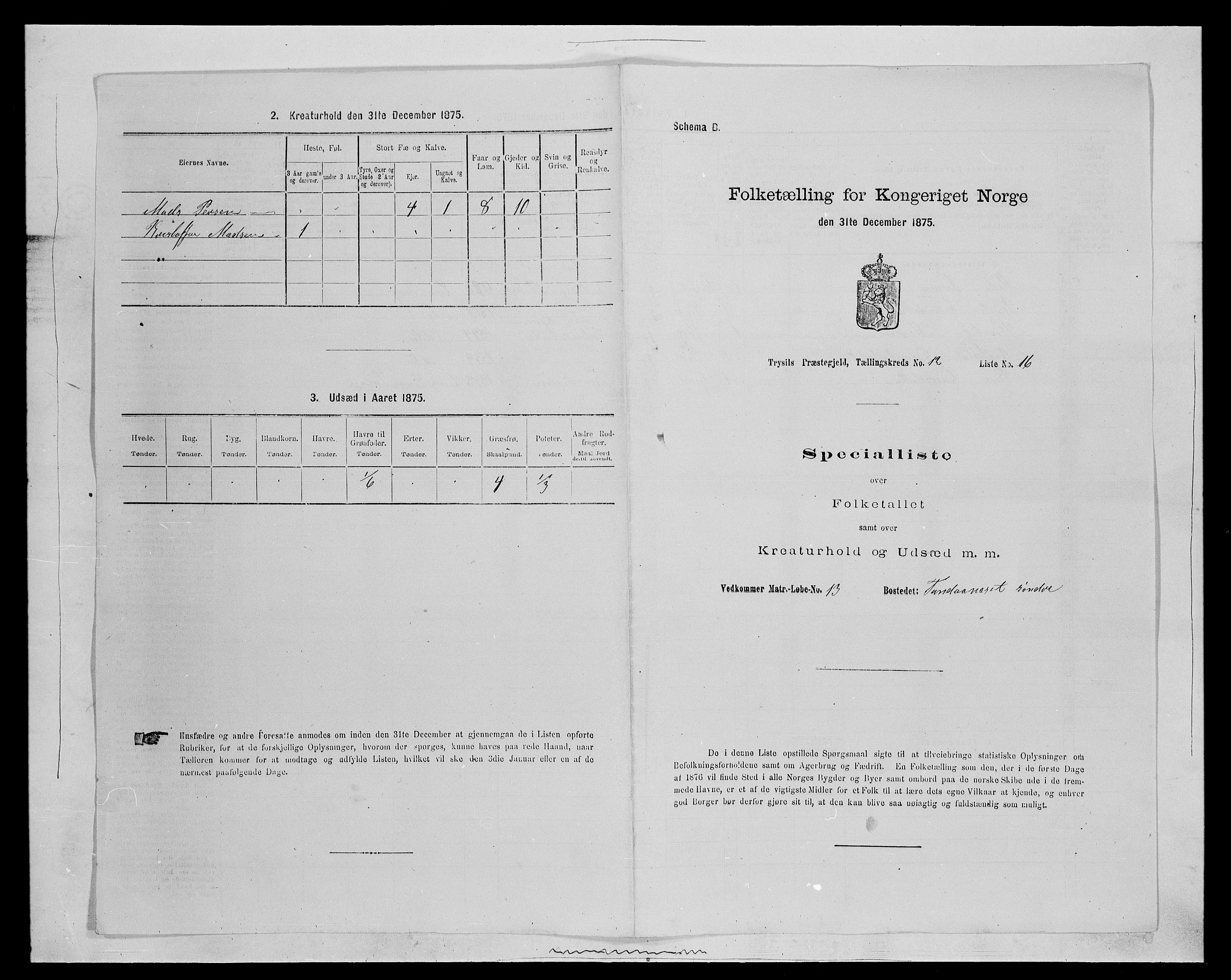 SAH, 1875 census for 0428P Trysil, 1875, p. 1356