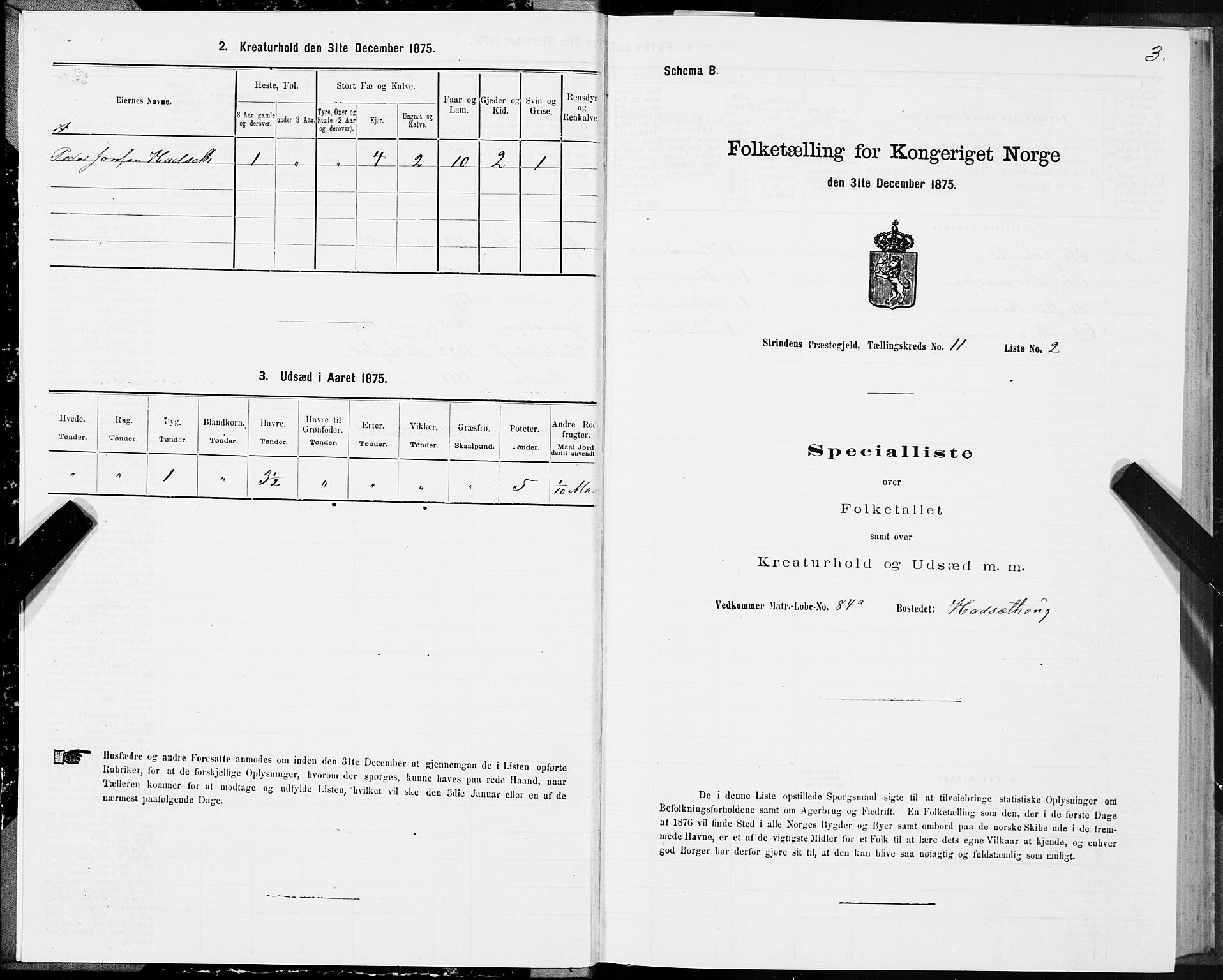 SAT, 1875 census for 1660P Strinda, 1875, p. 7003