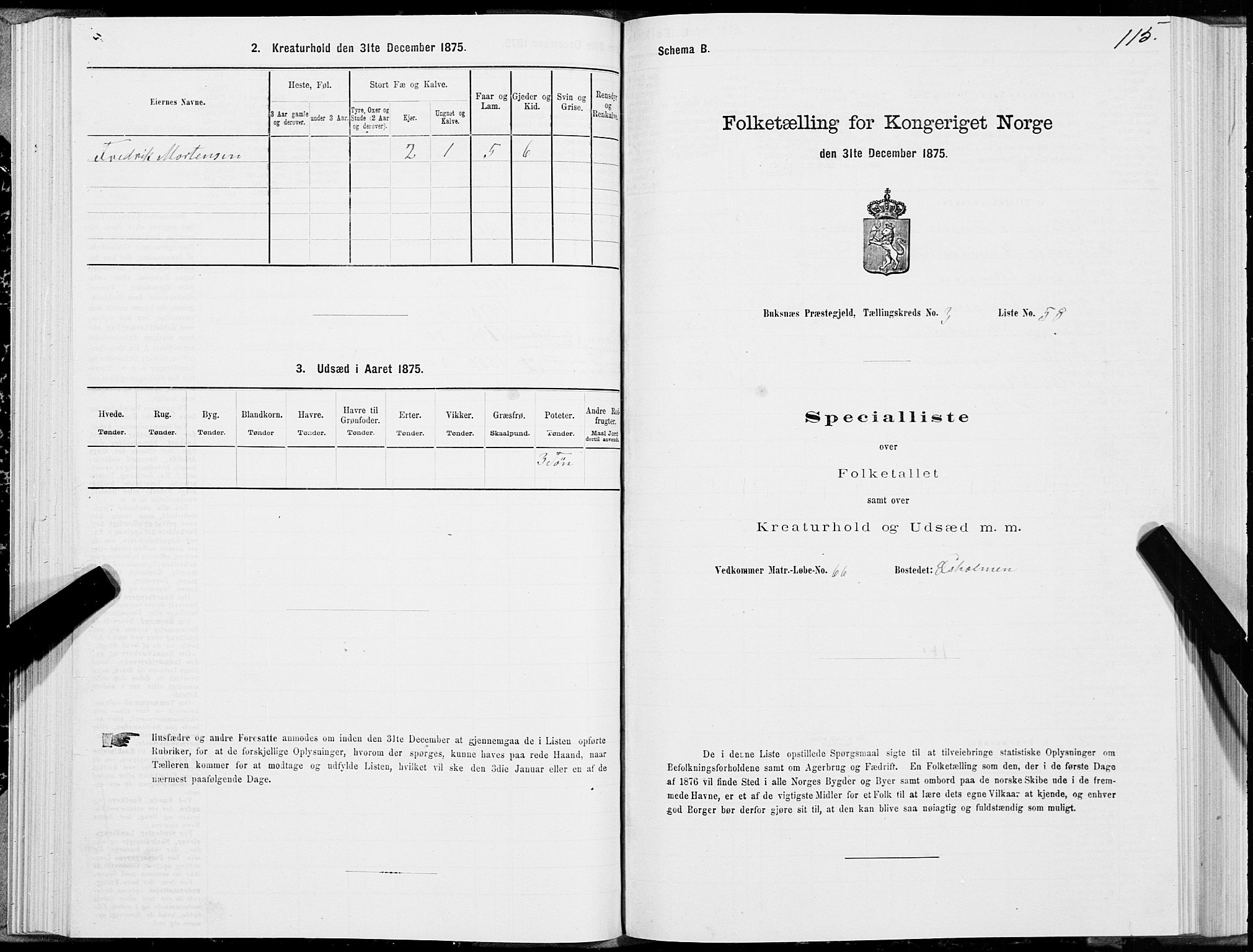 SAT, 1875 census for 1860P Buksnes, 1875, p. 2115