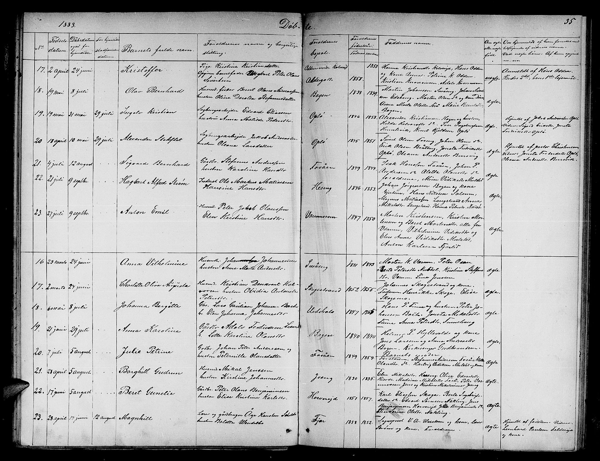 Ministerialprotokoller, klokkerbøker og fødselsregistre - Nord-Trøndelag, AV/SAT-A-1458/780/L0650: Parish register (copy) no. 780C02, 1866-1884, p. 35