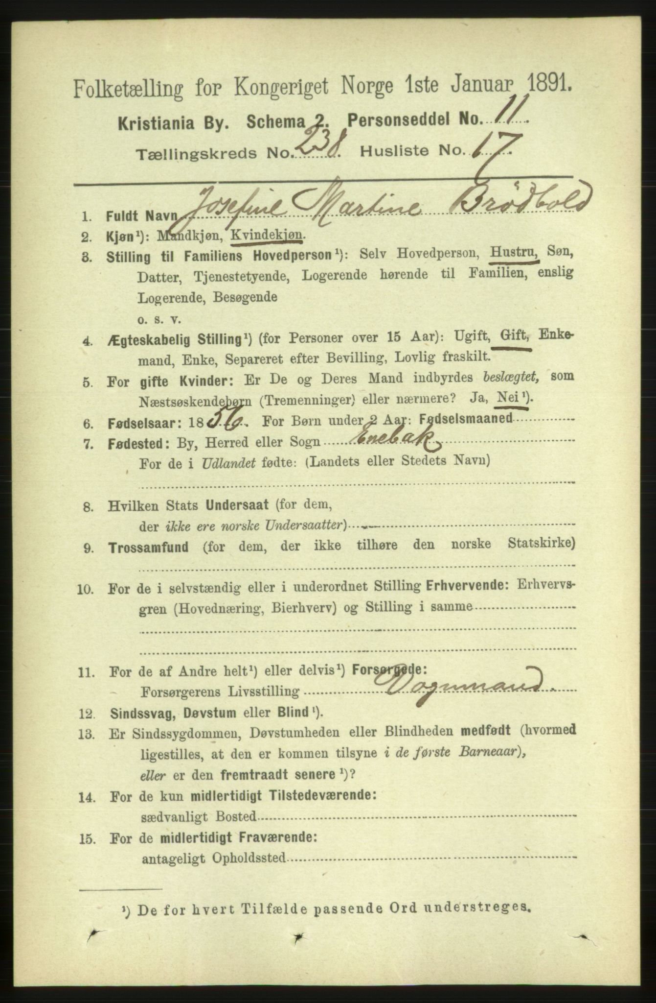 RA, 1891 census for 0301 Kristiania, 1891, p. 145005
