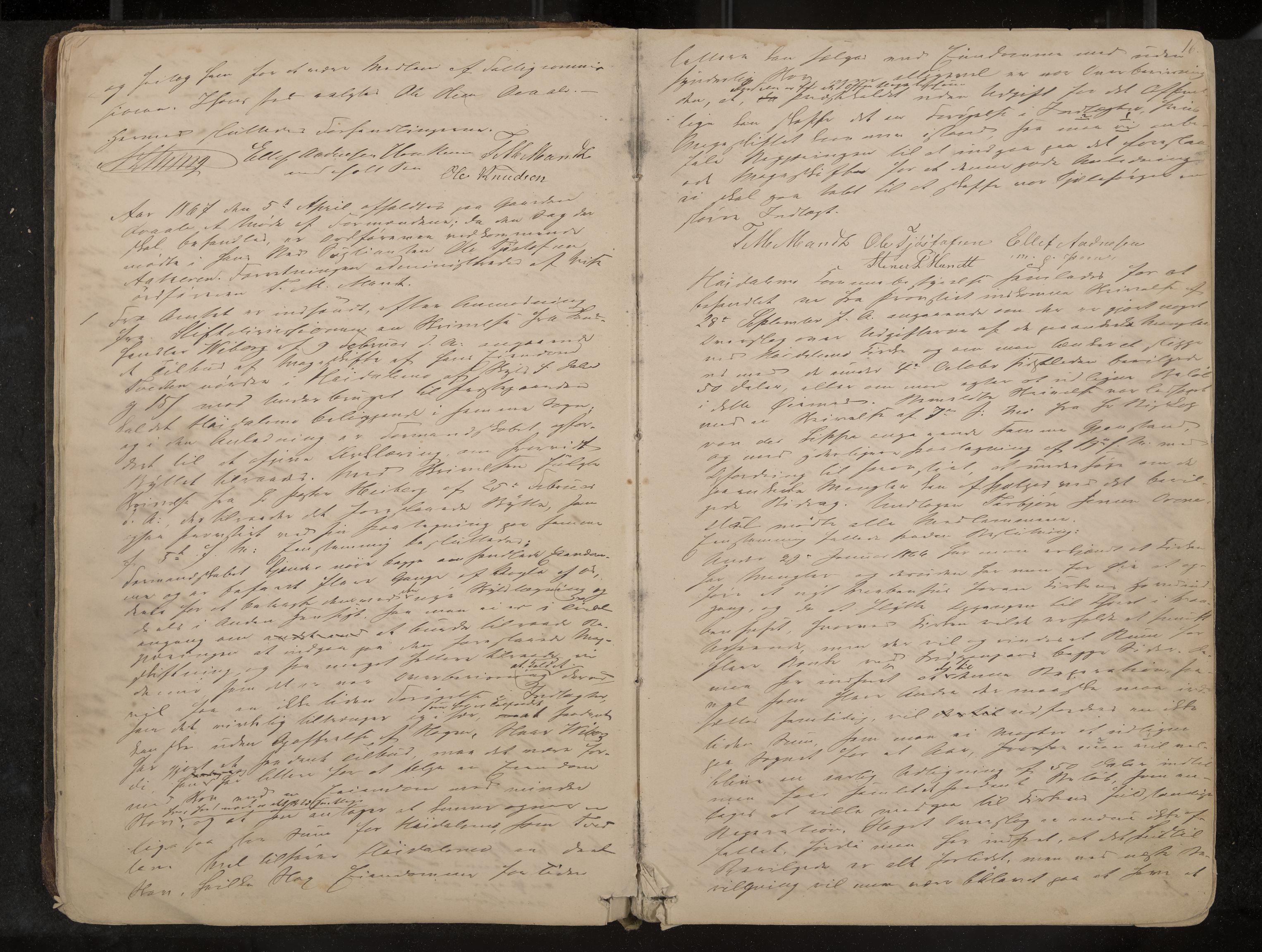 Lårdal formannskap og sentraladministrasjon, IKAK/0833021/A/L0002: Møtebok, 1865-1893, p. 16