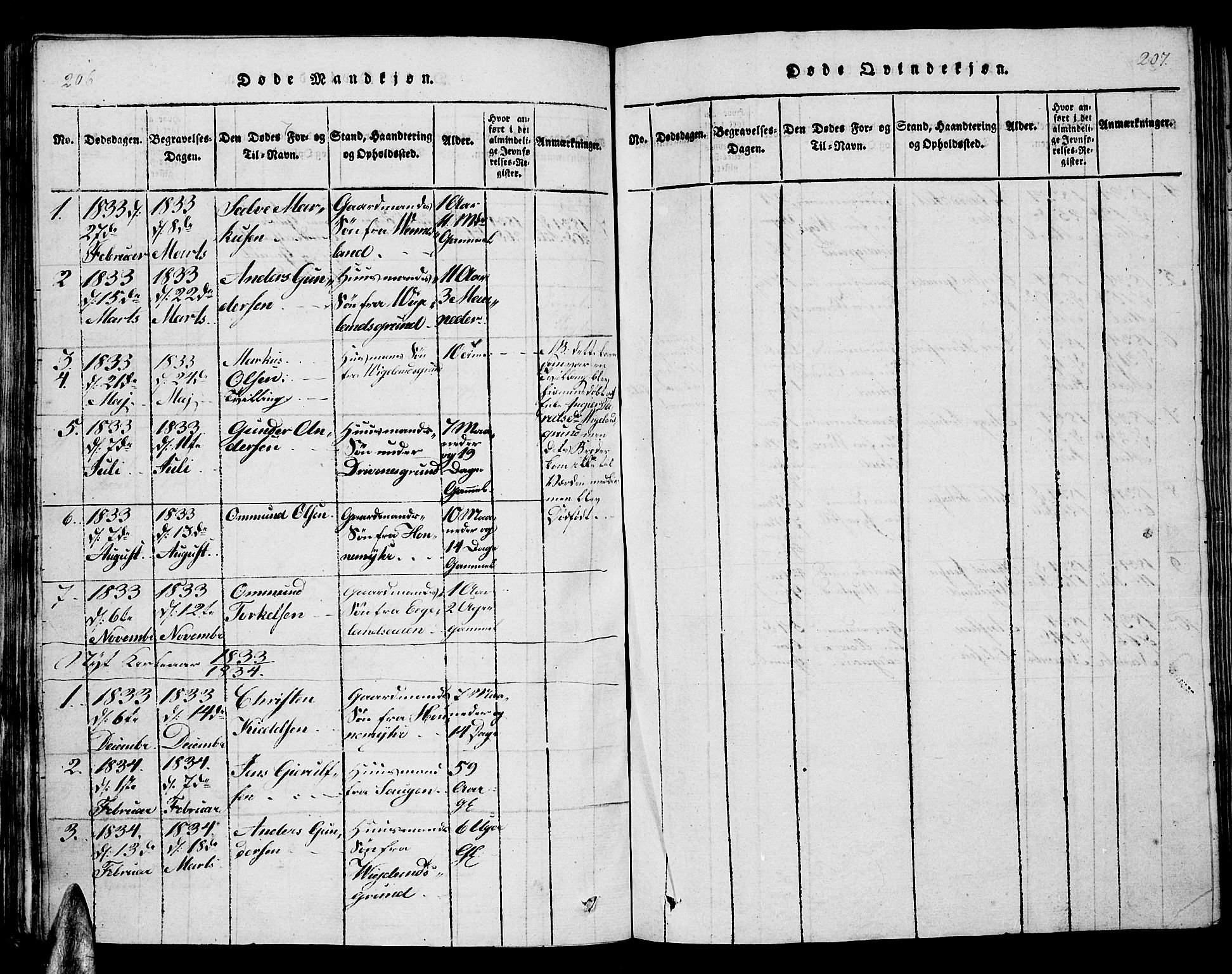 Vennesla sokneprestkontor, AV/SAK-1111-0045/Fb/Fbb/L0001: Parish register (copy) no. B 1, 1820-1834, p. 206-207