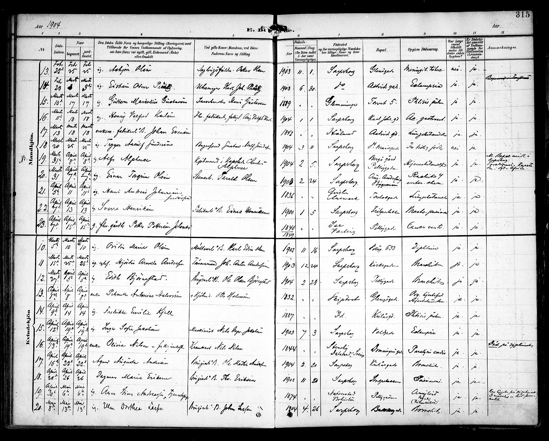 Sarpsborg prestekontor Kirkebøker, SAO/A-2006/F/Fa/L0006: Parish register (official) no. 6, 1900-1909, p. 315