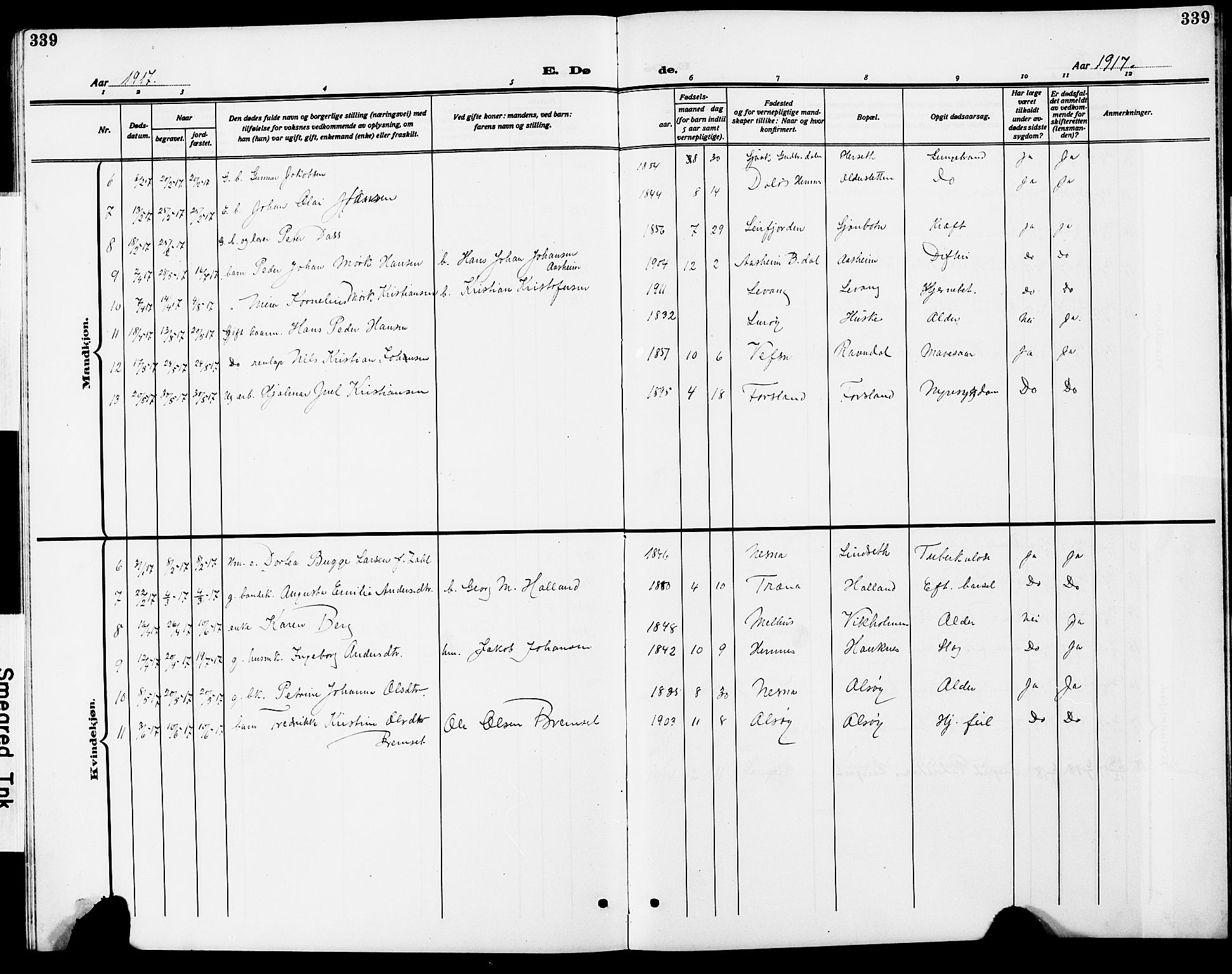 Ministerialprotokoller, klokkerbøker og fødselsregistre - Nordland, AV/SAT-A-1459/838/L0560: Parish register (copy) no. 838C07, 1910-1928, p. 339