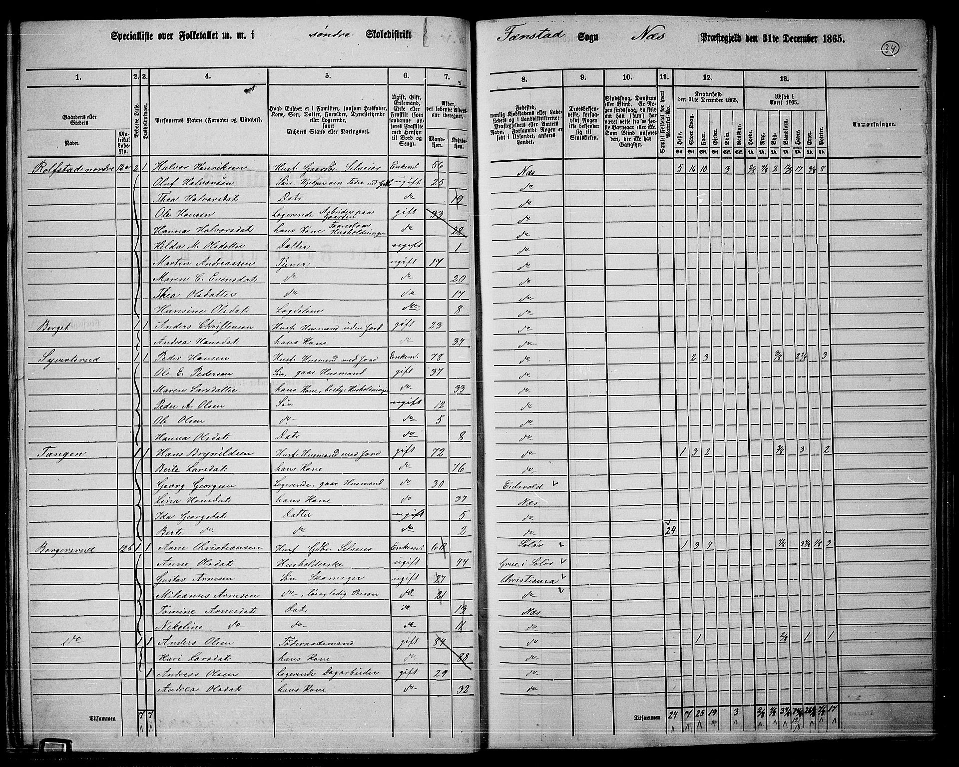 RA, 1865 census for Nes, 1865, p. 31