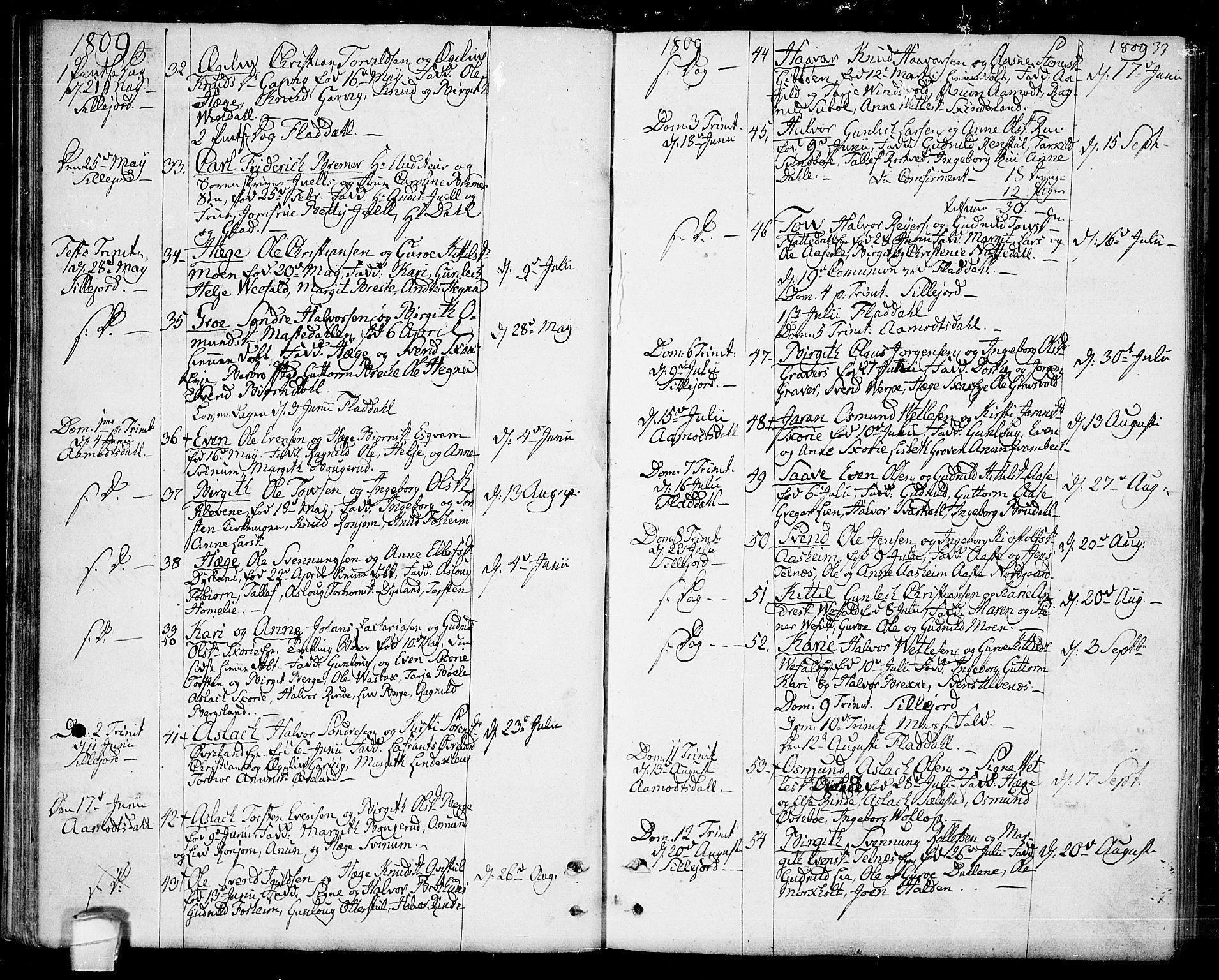 Seljord kirkebøker, SAKO/A-20/F/Fa/L0009: Parish register (official) no. I 9, 1801-1814, p. 33