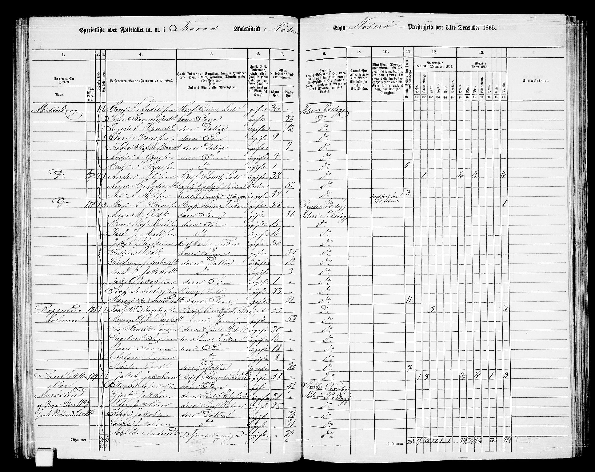 RA, 1865 census for Nøtterøy, 1865, p. 99