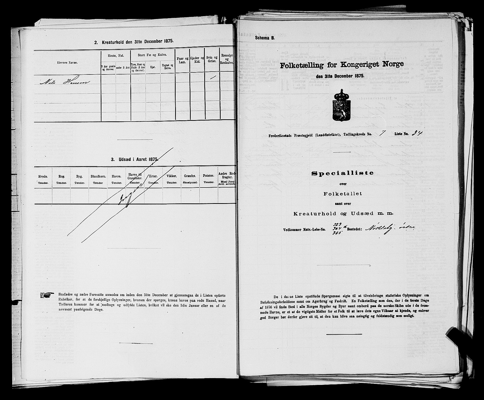 RA, 1875 census for 0132L Fredrikstad/Glemmen, 1875, p. 1266