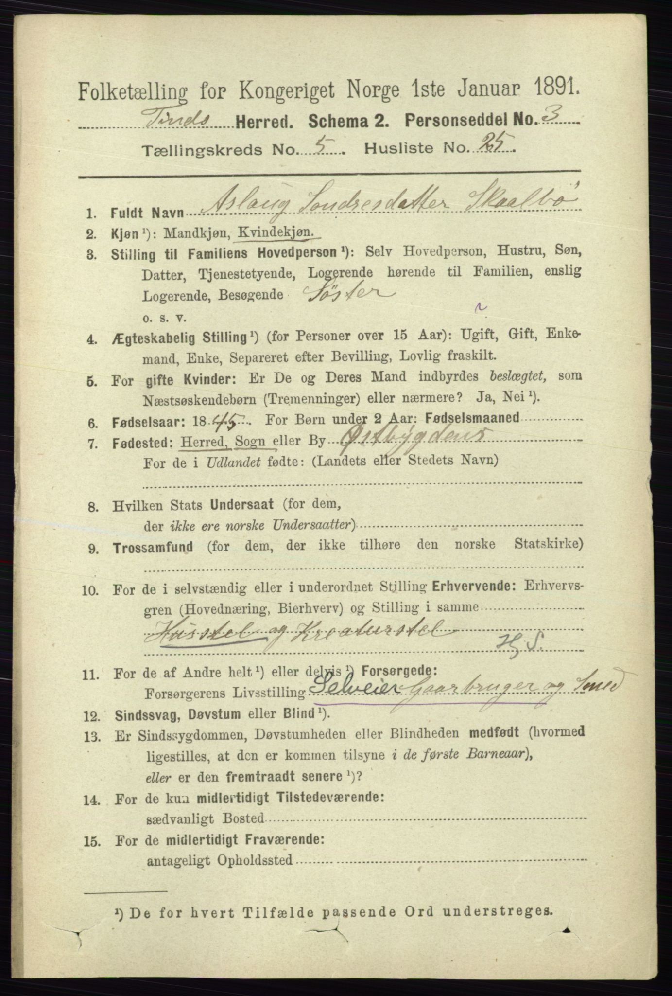 RA, 1891 census for 0826 Tinn, 1891, p. 1157