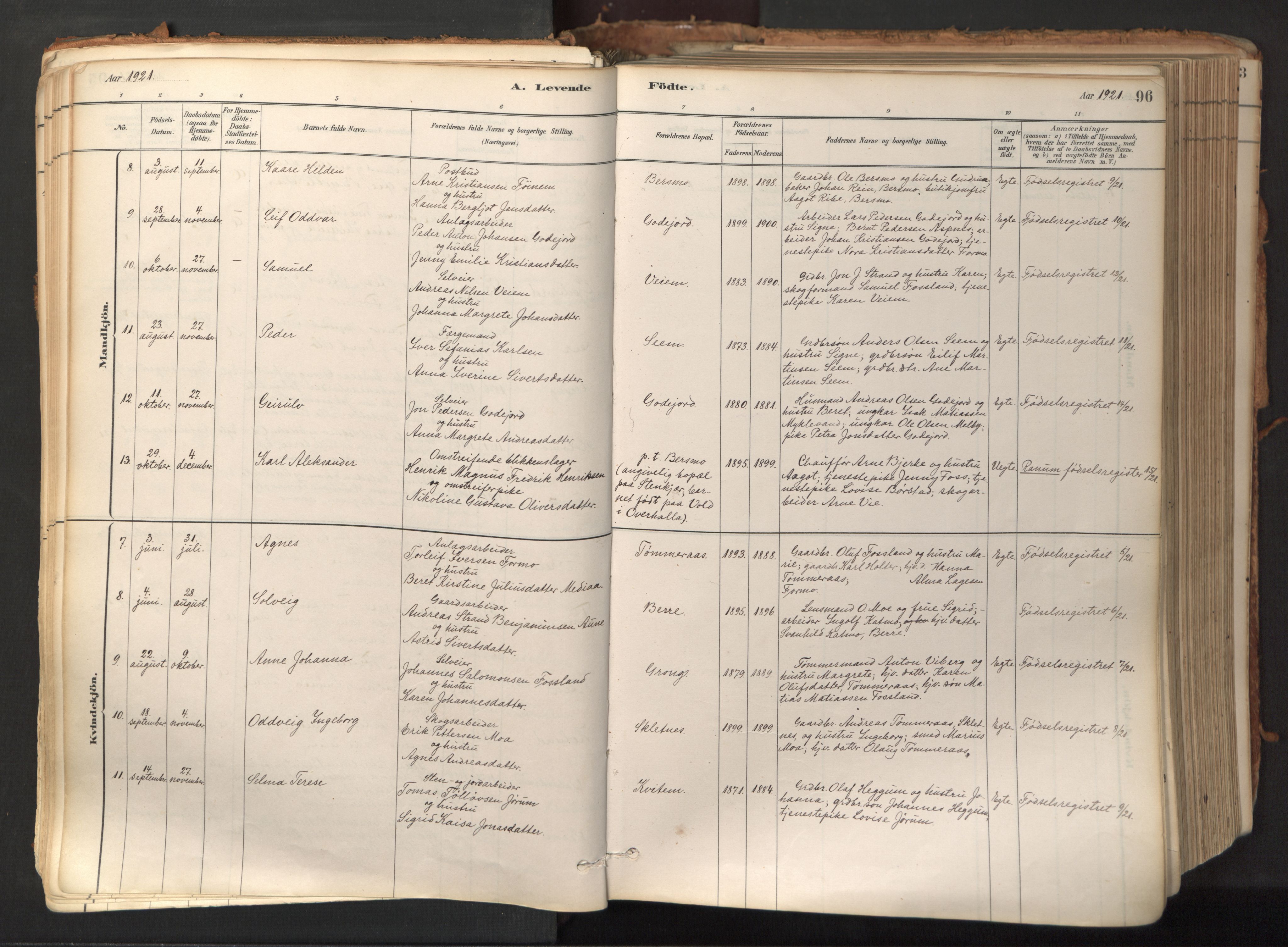 Ministerialprotokoller, klokkerbøker og fødselsregistre - Nord-Trøndelag, SAT/A-1458/758/L0519: Parish register (official) no. 758A04, 1880-1926, p. 96
