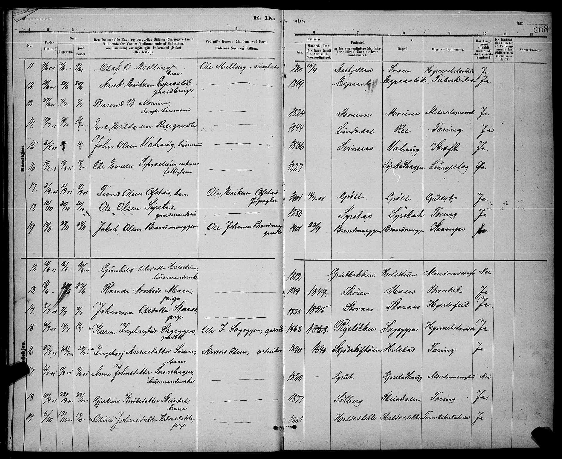 Ministerialprotokoller, klokkerbøker og fødselsregistre - Sør-Trøndelag, AV/SAT-A-1456/672/L0863: Parish register (copy) no. 672C02, 1888-1901, p. 208