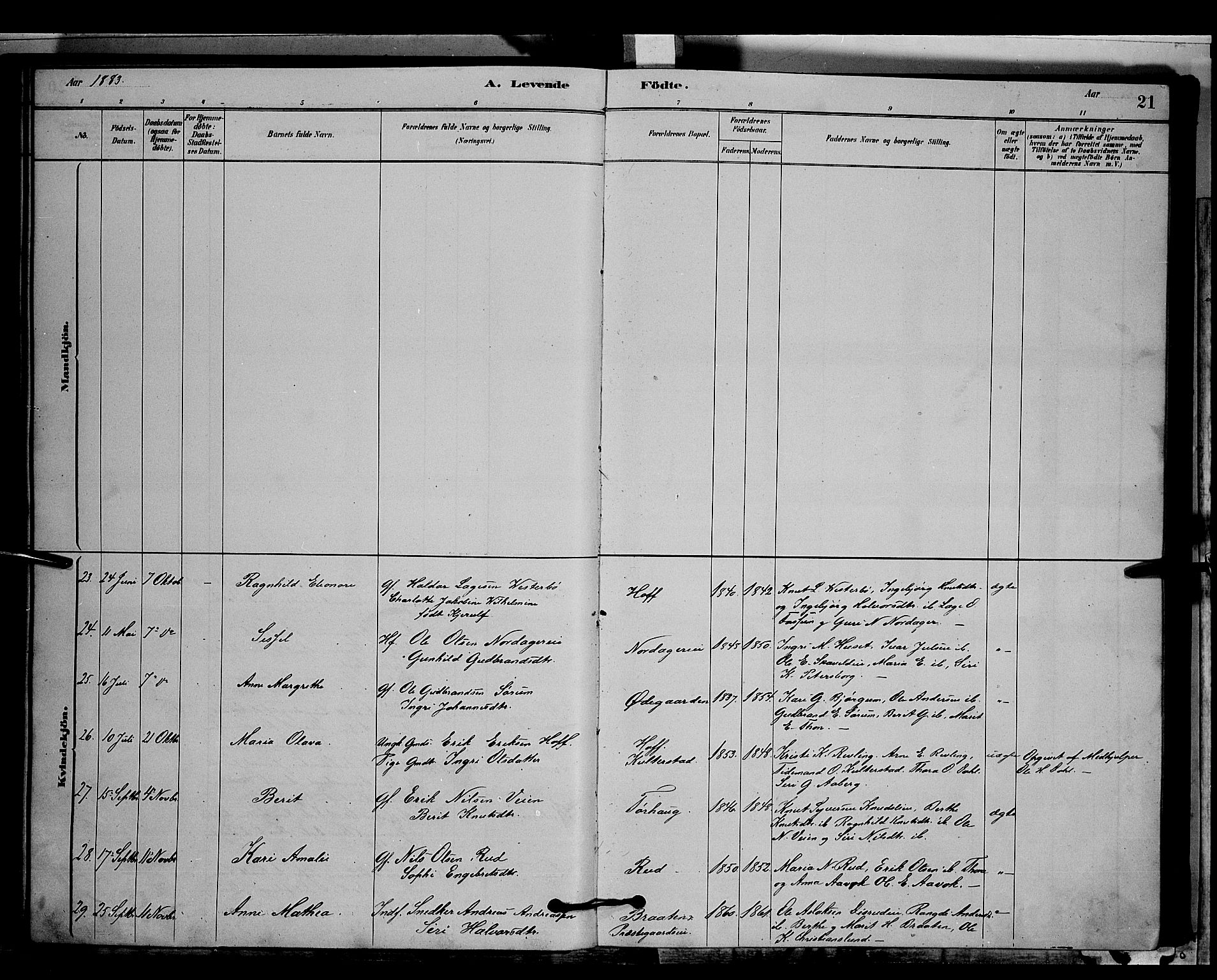 Nord-Aurdal prestekontor, SAH/PREST-132/H/Ha/Hab/L0006: Parish register (copy) no. 6, 1878-1892, p. 21