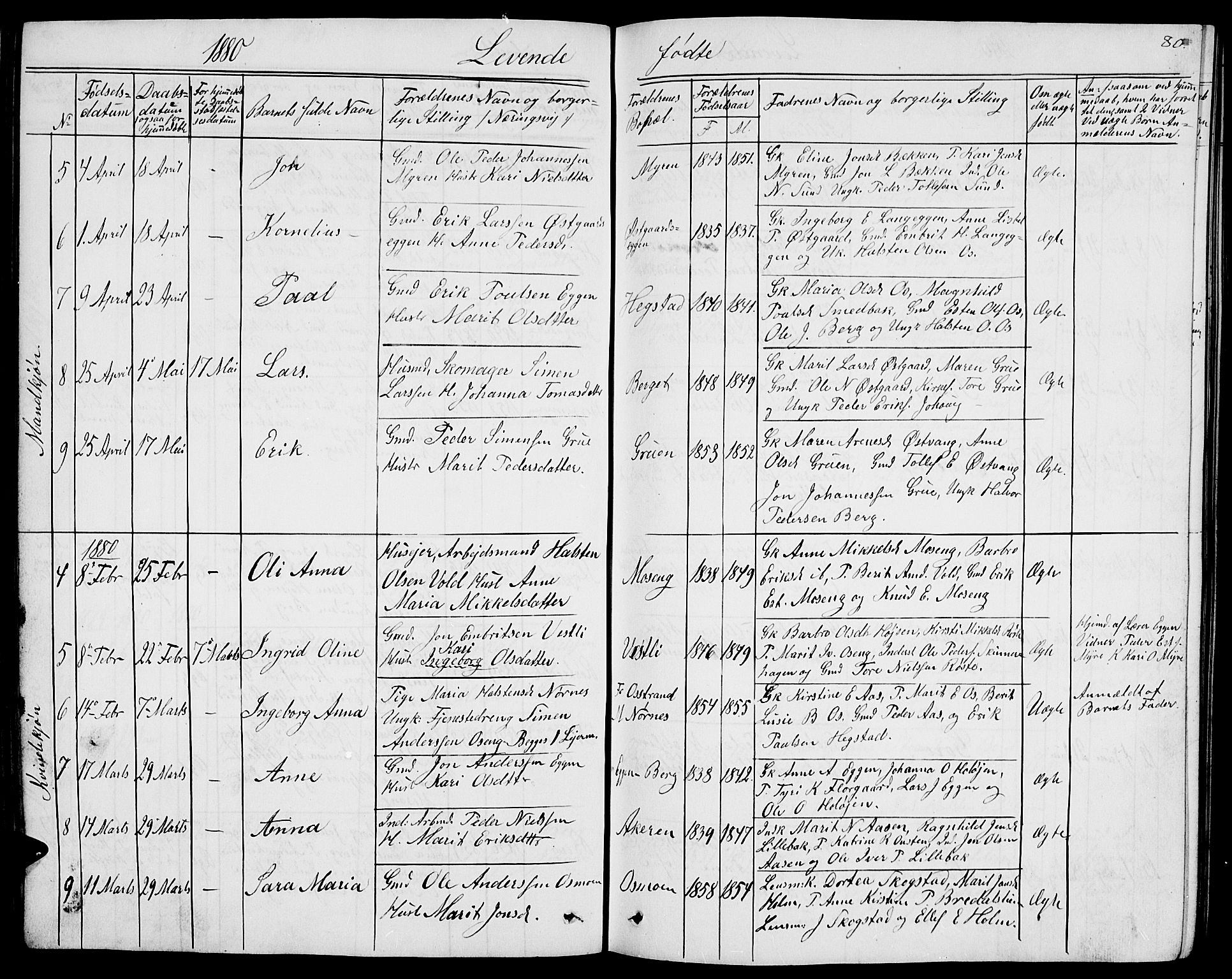 Tolga prestekontor, AV/SAH-PREST-062/L/L0004: Parish register (copy) no. 4, 1845-1887, p. 80