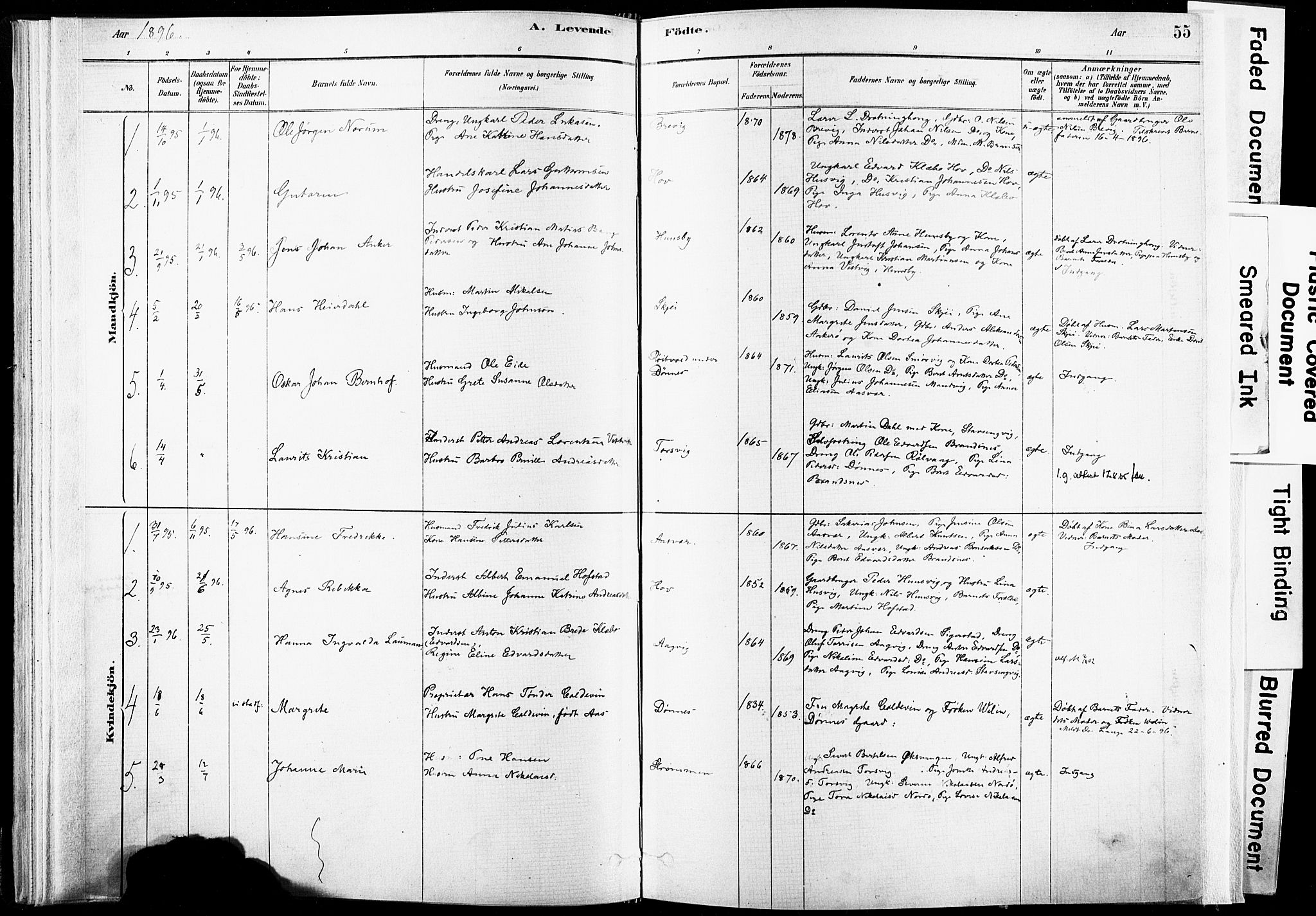 Ministerialprotokoller, klokkerbøker og fødselsregistre - Nordland, AV/SAT-A-1459/835/L0525: Parish register (official) no. 835A03I, 1881-1910, p. 55