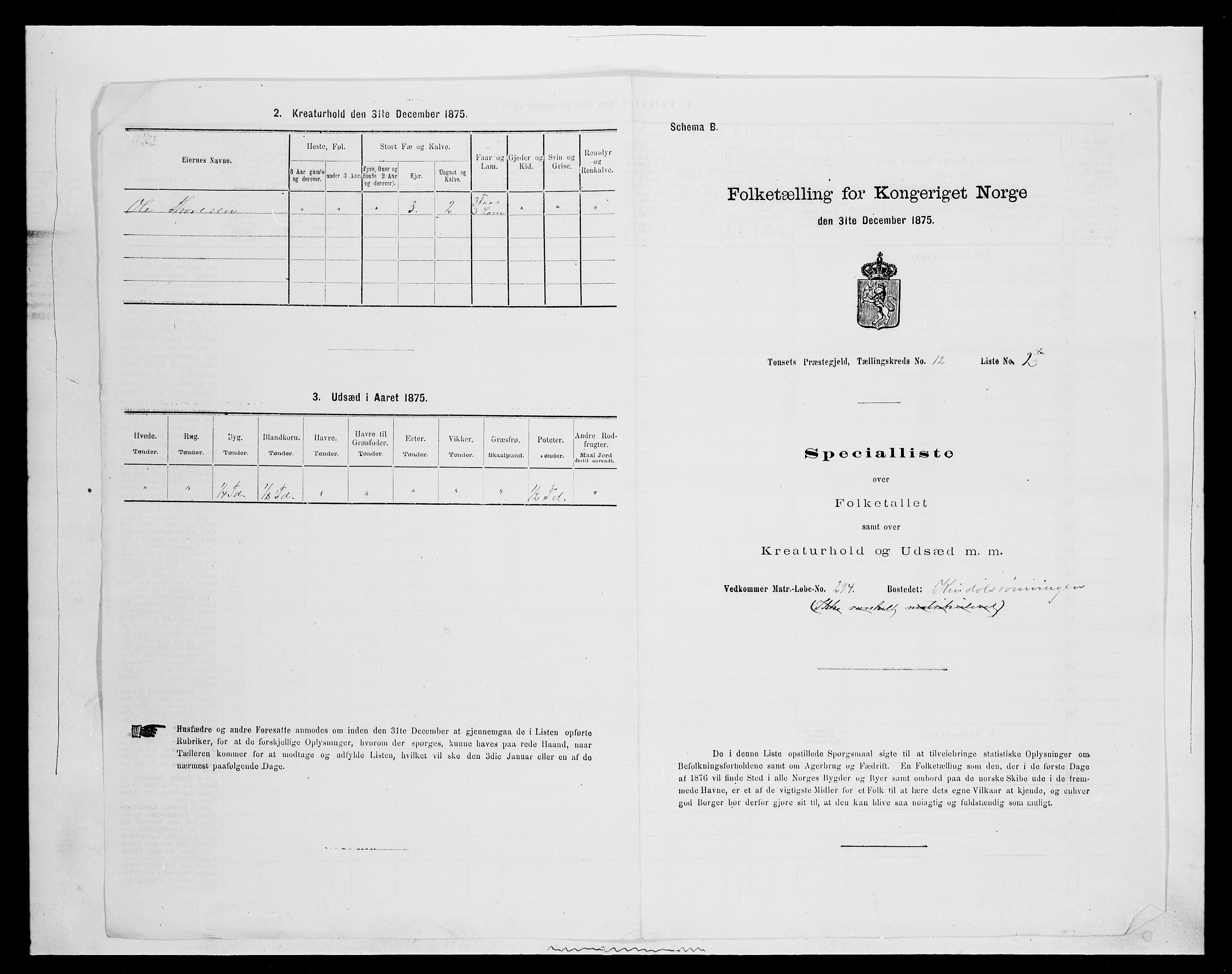 SAH, 1875 census for 0437P Tynset, 1875, p. 1054