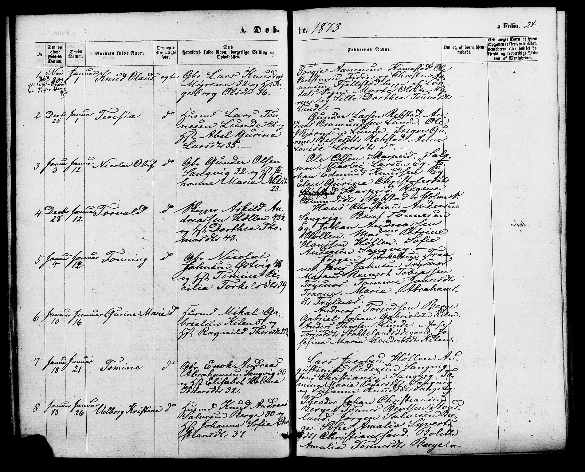 Søgne sokneprestkontor, SAK/1111-0037/F/Fa/Fab/L0011: Parish register (official) no. A 11, 1869-1879, p. 24