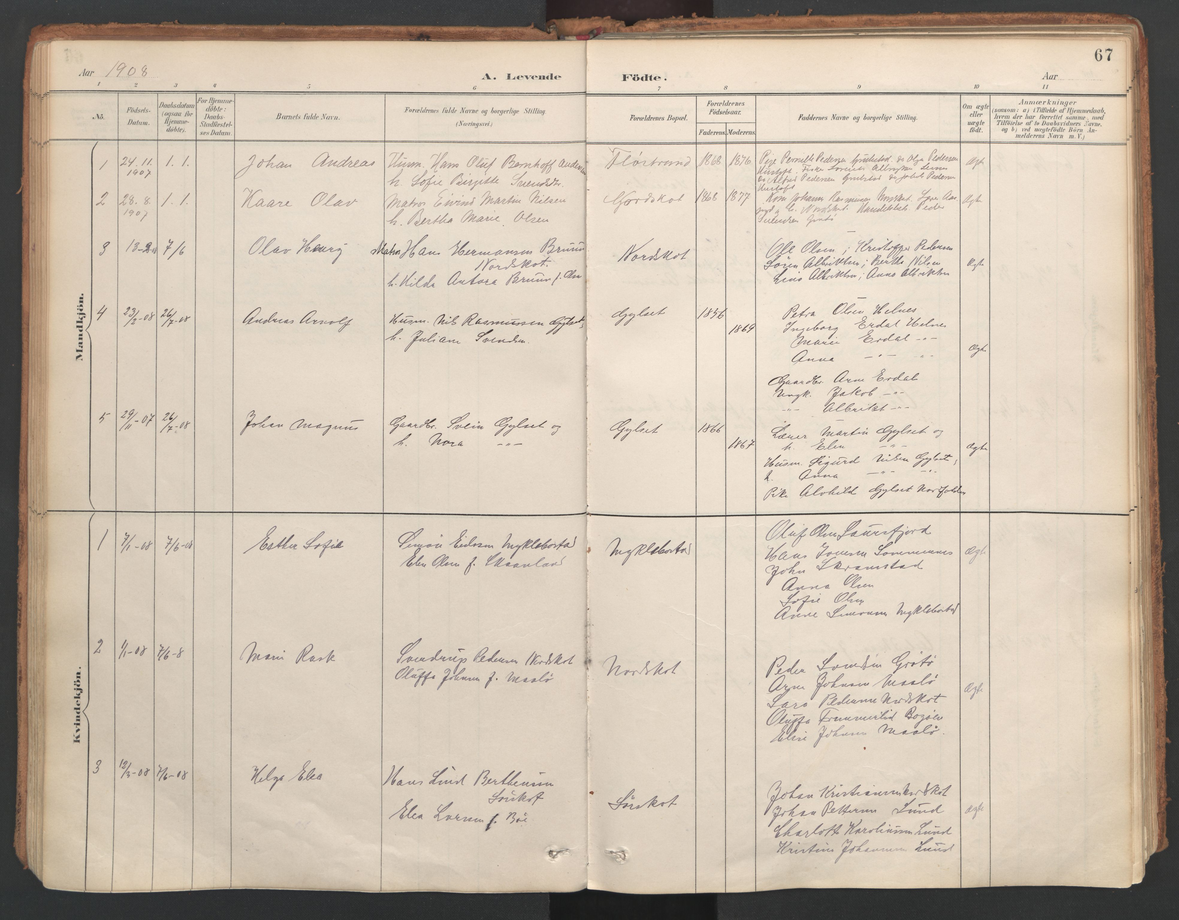 Ministerialprotokoller, klokkerbøker og fødselsregistre - Nordland, AV/SAT-A-1459/857/L0822: Parish register (official) no. 857A02, 1890-1917, p. 67